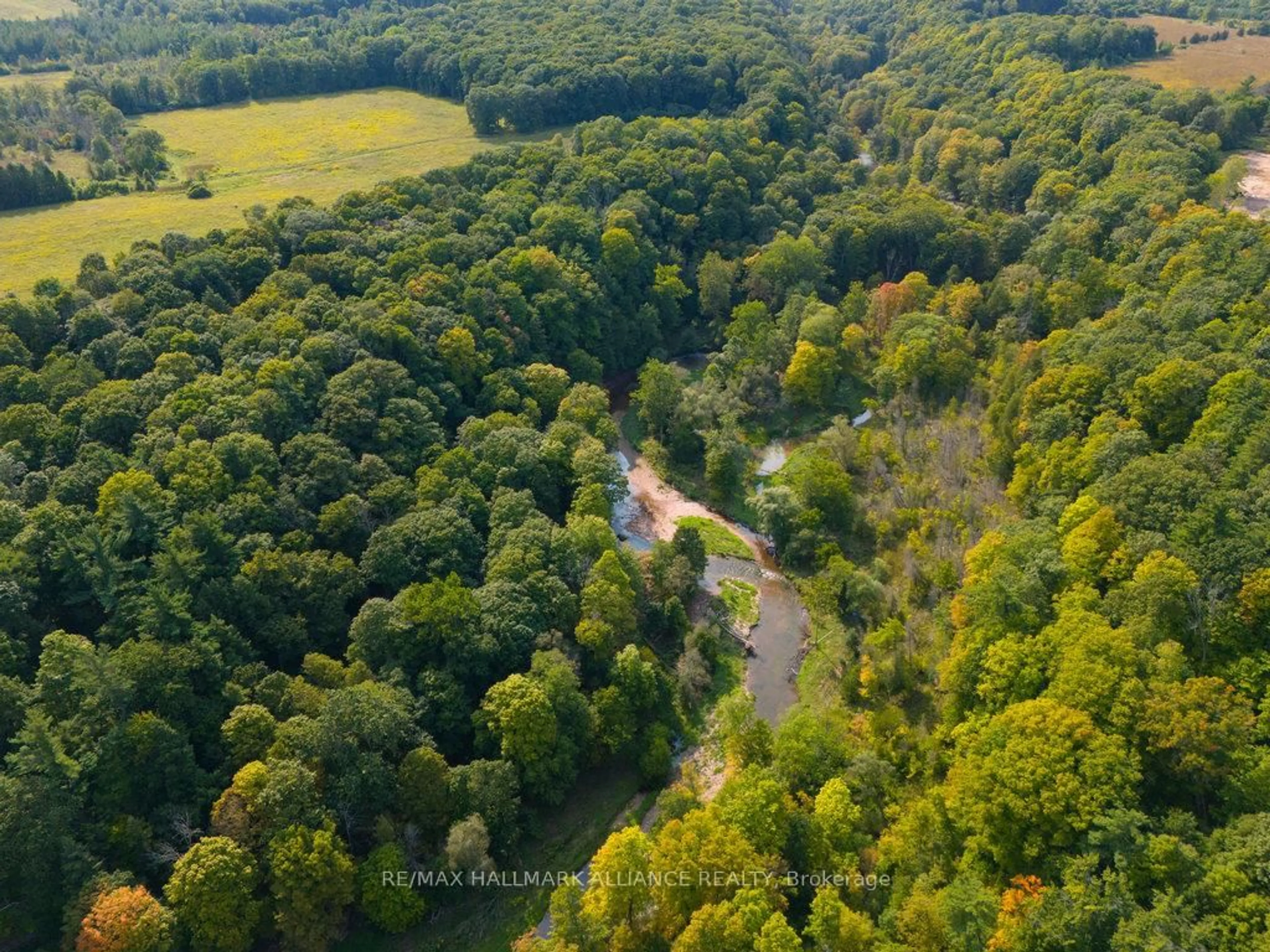 A pic from outside/outdoor area/front of a property/back of a property/a pic from drone, forest/trees view for 1200 Bronte Rd, Oakville Ontario L6M 4G4