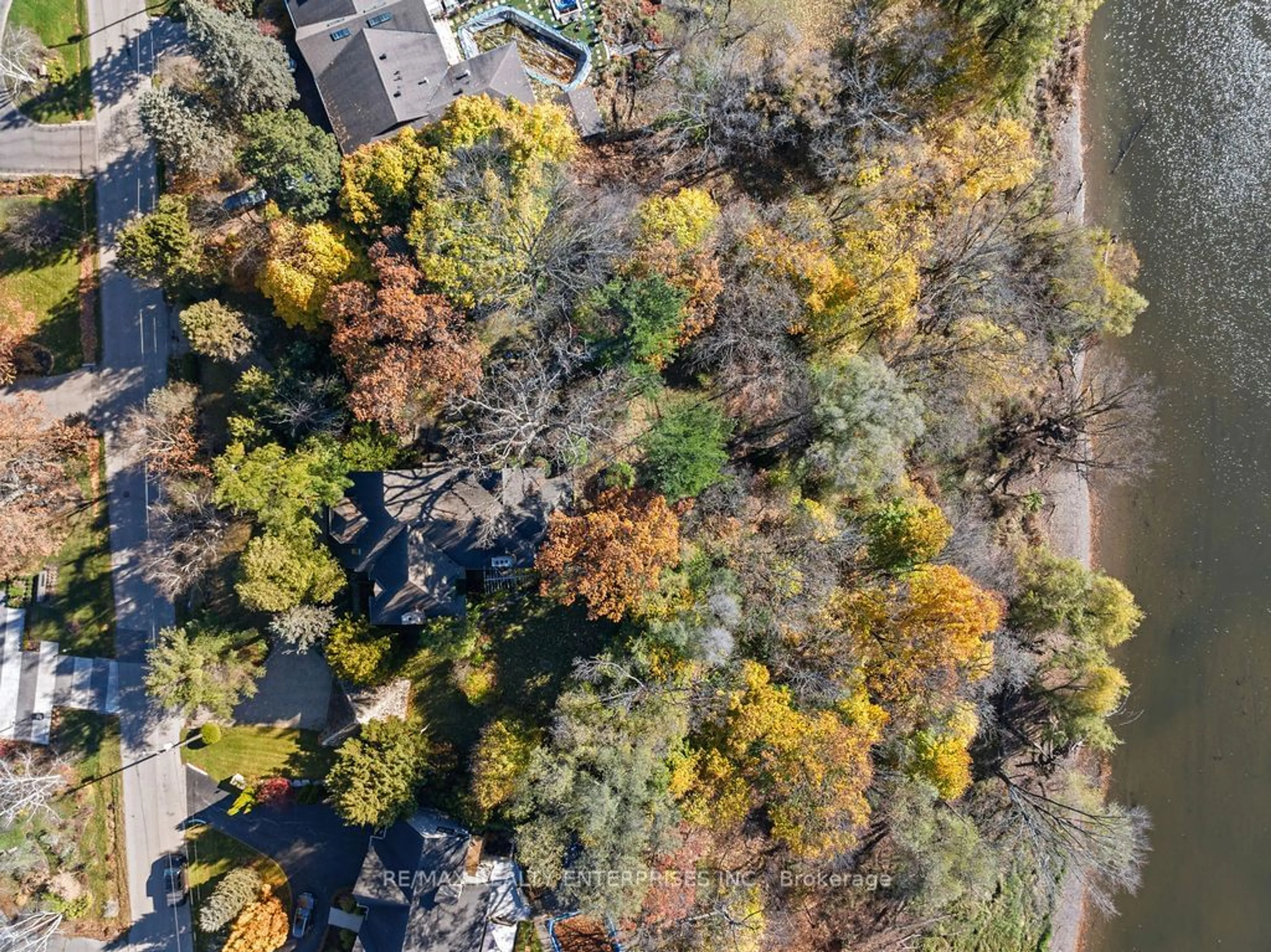 A pic from outside/outdoor area/front of a property/back of a property/a pic from drone, forest/trees view for 1520 Pinetree Cres, Mississauga Ontario L5G 2S8