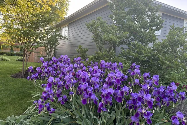 Additional property image - 625 Ardleigh Cres