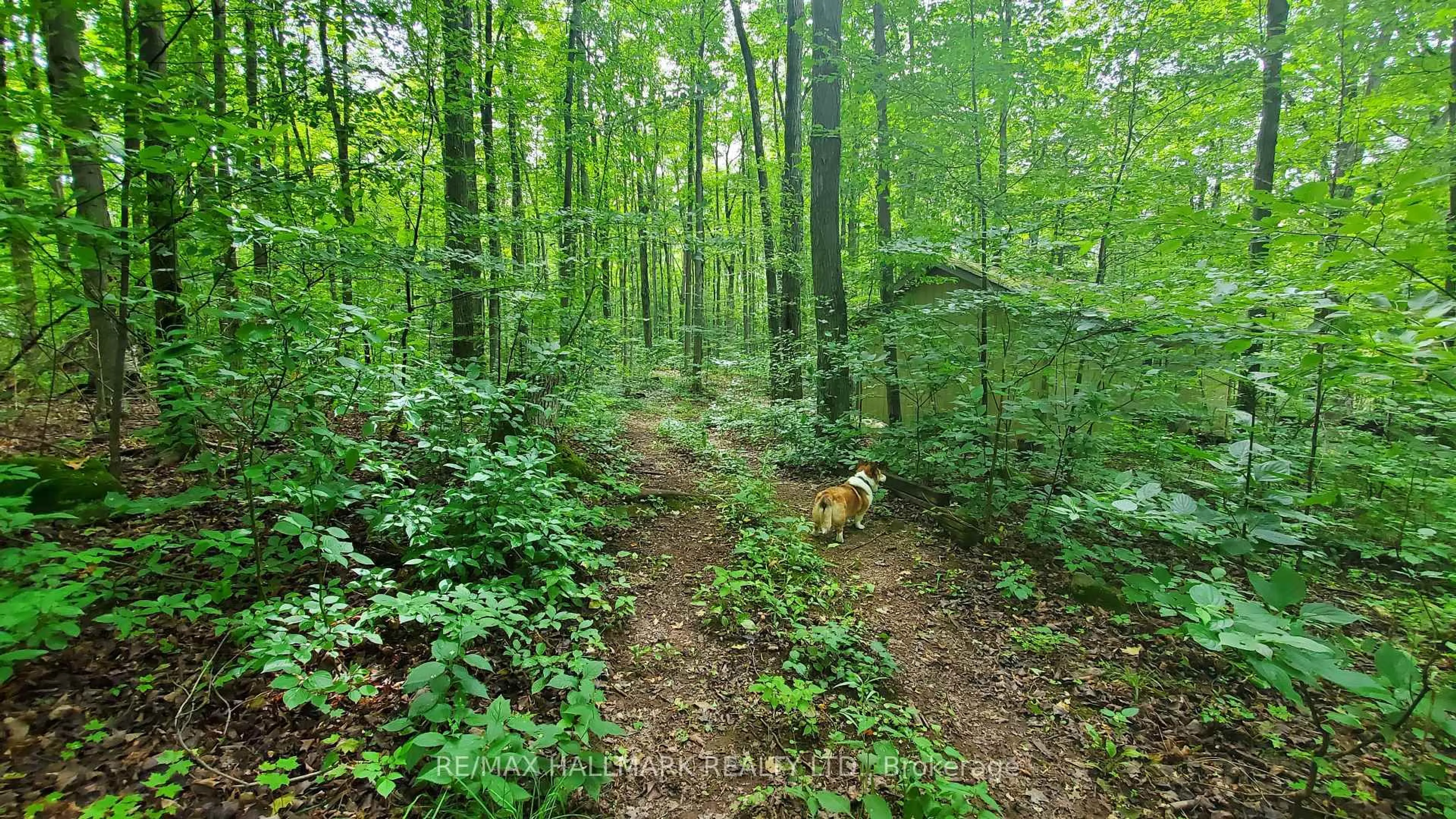 Blurry image for 14728 Heritage Rd, Caledon Ontario L7C 1T7
