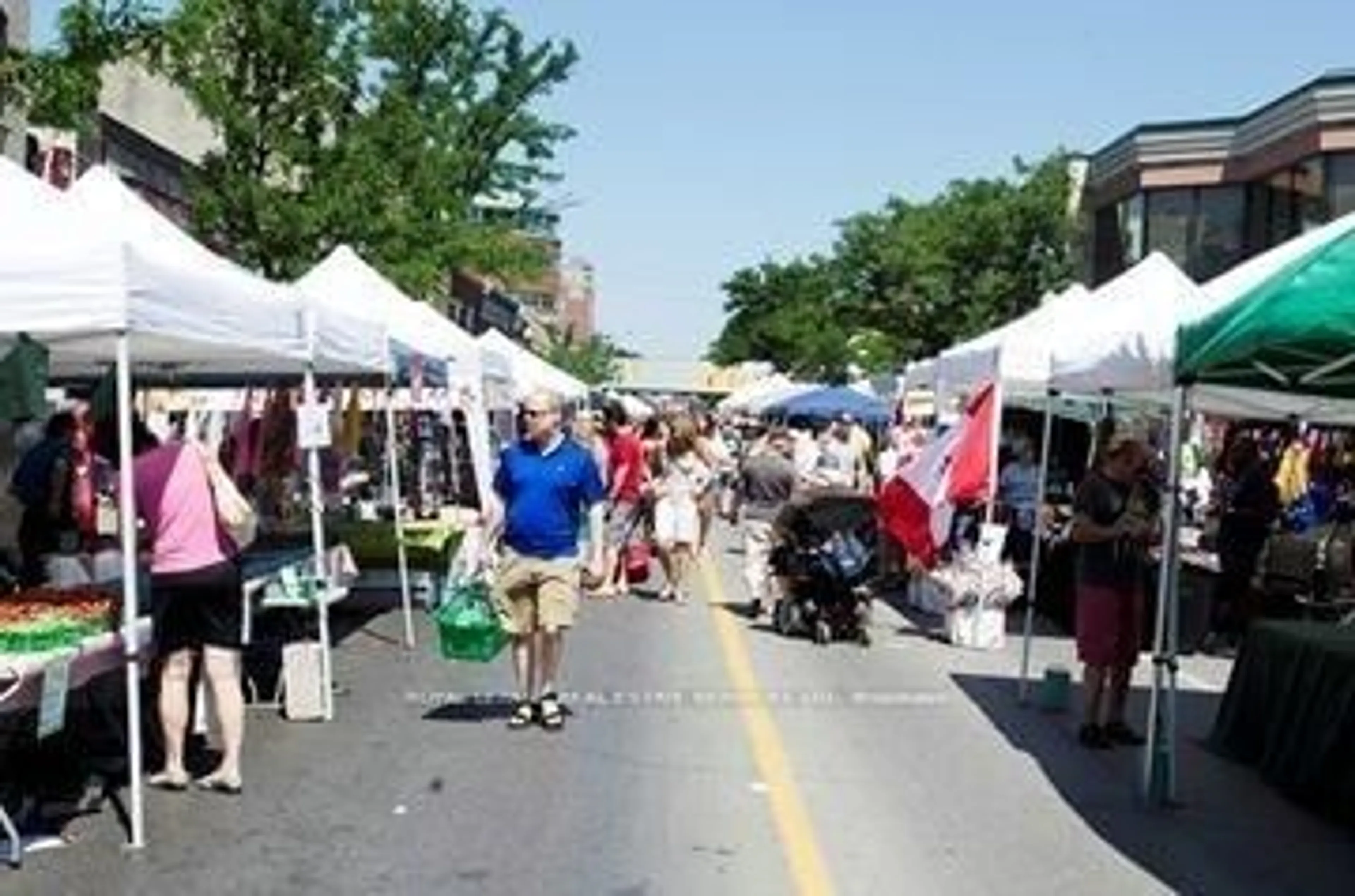 Blurry image for 91 Frederick St, Brampton Ontario L6Y 1G9