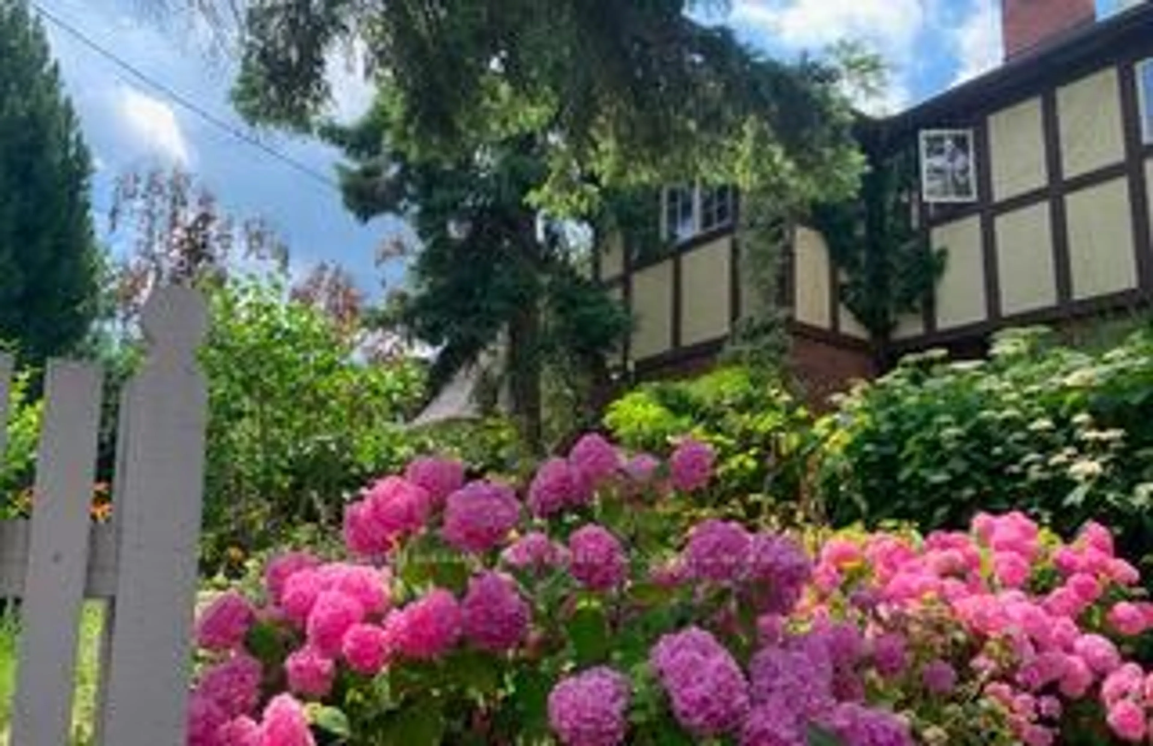 Unknown for 30 Oakwood Ave, Mississauga Ontario L5G 3L3