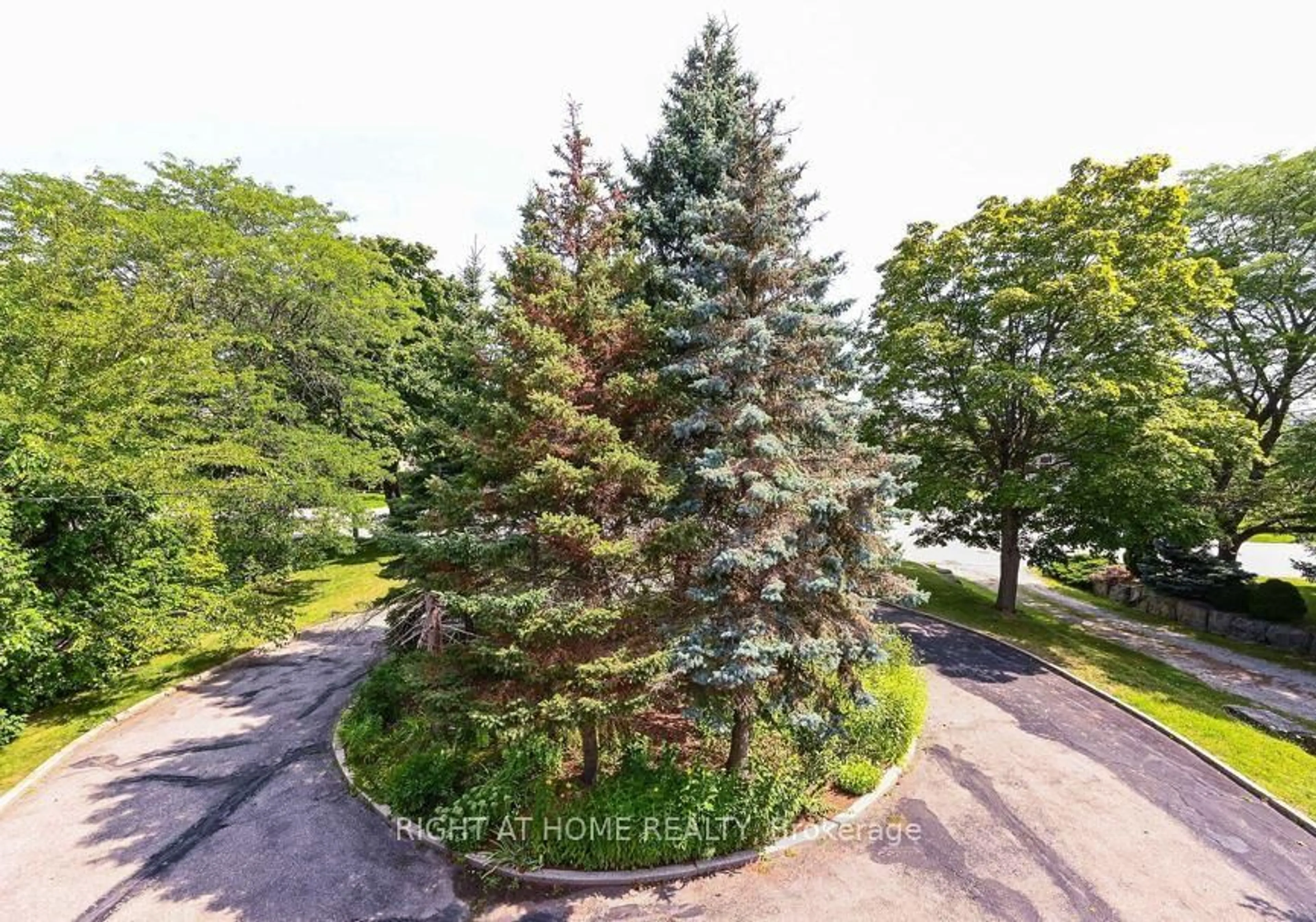A pic from outside/outdoor area/front of a property/back of a property/a pic from drone, forest/trees view for 6800 Second Line N/A, Mississauga Ontario L5W 1M9