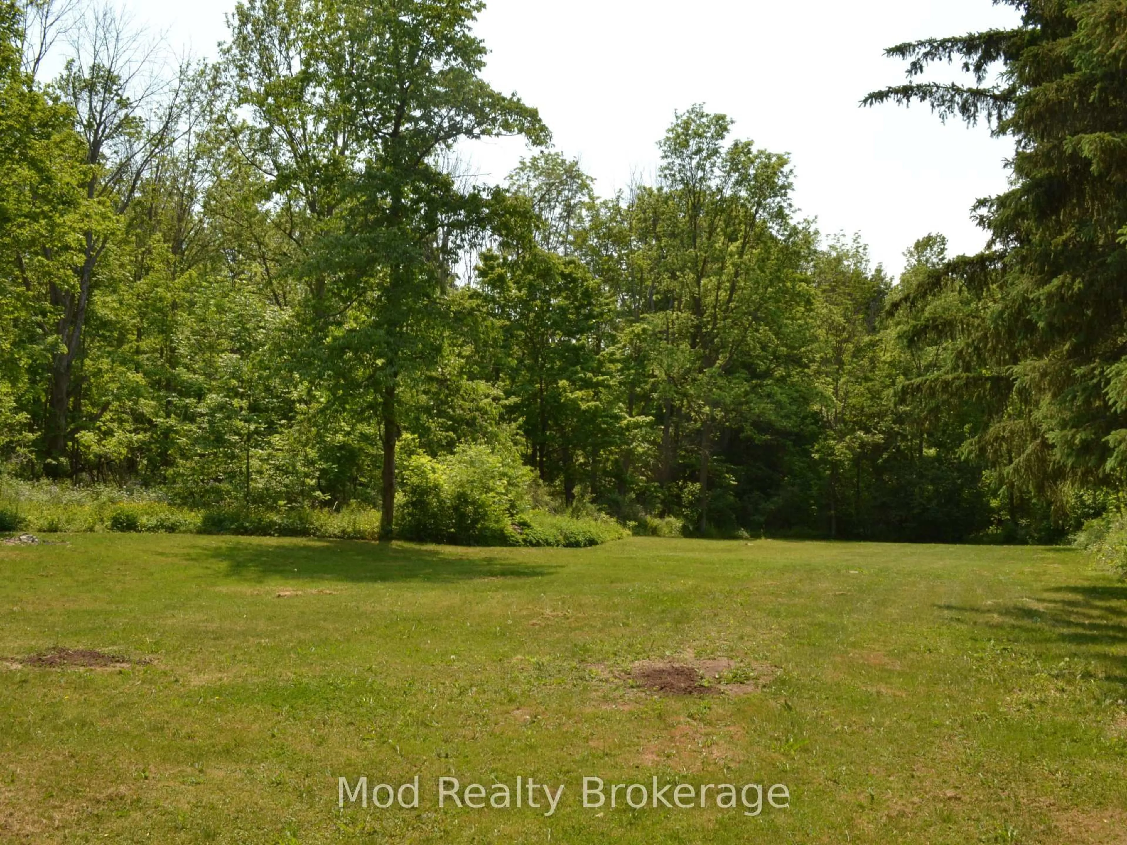 A pic from outside/outdoor area/front of a property/back of a property/a pic from drone, forest/trees view for 6142 Guelph Line, Burlington Ontario L7P 0A8