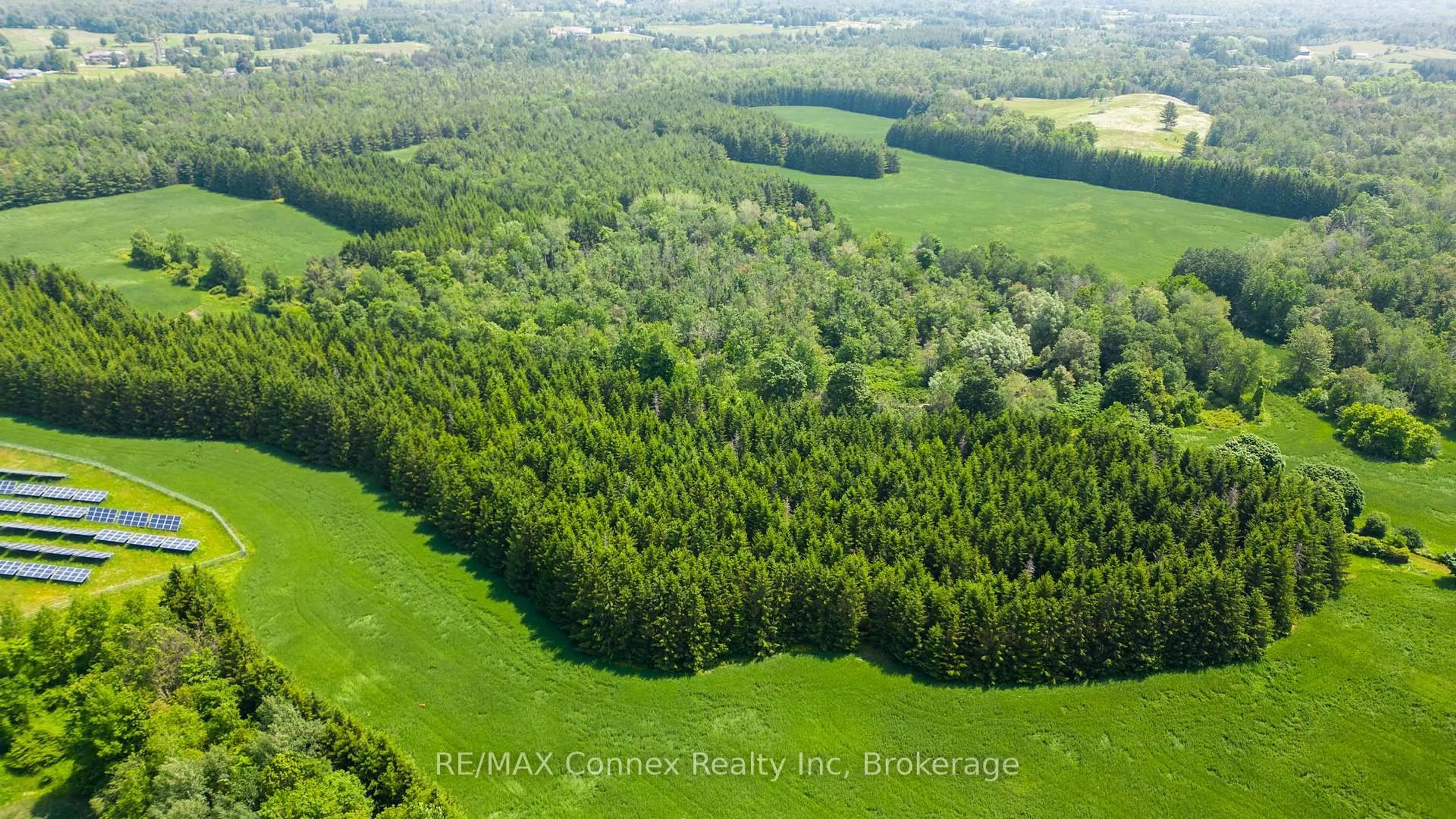 A pic from outside/outdoor area/front of a property/back of a property/a pic from drone, forest/trees view for 13233 Fifth Line, Milton Ontario N0B 2K0