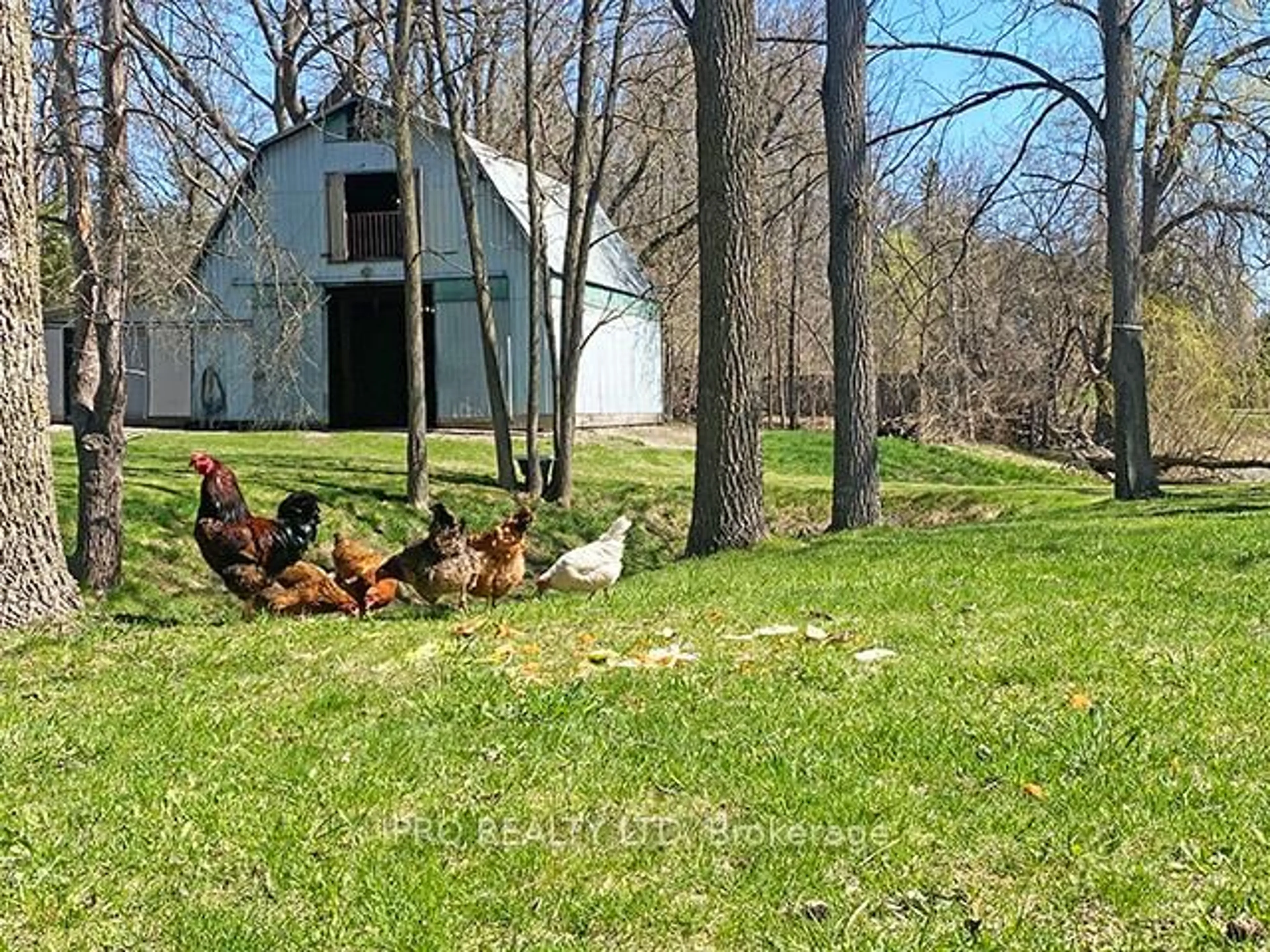 Unknown for 7454 Old Church Rd, Caledon Ontario L7C 0H5