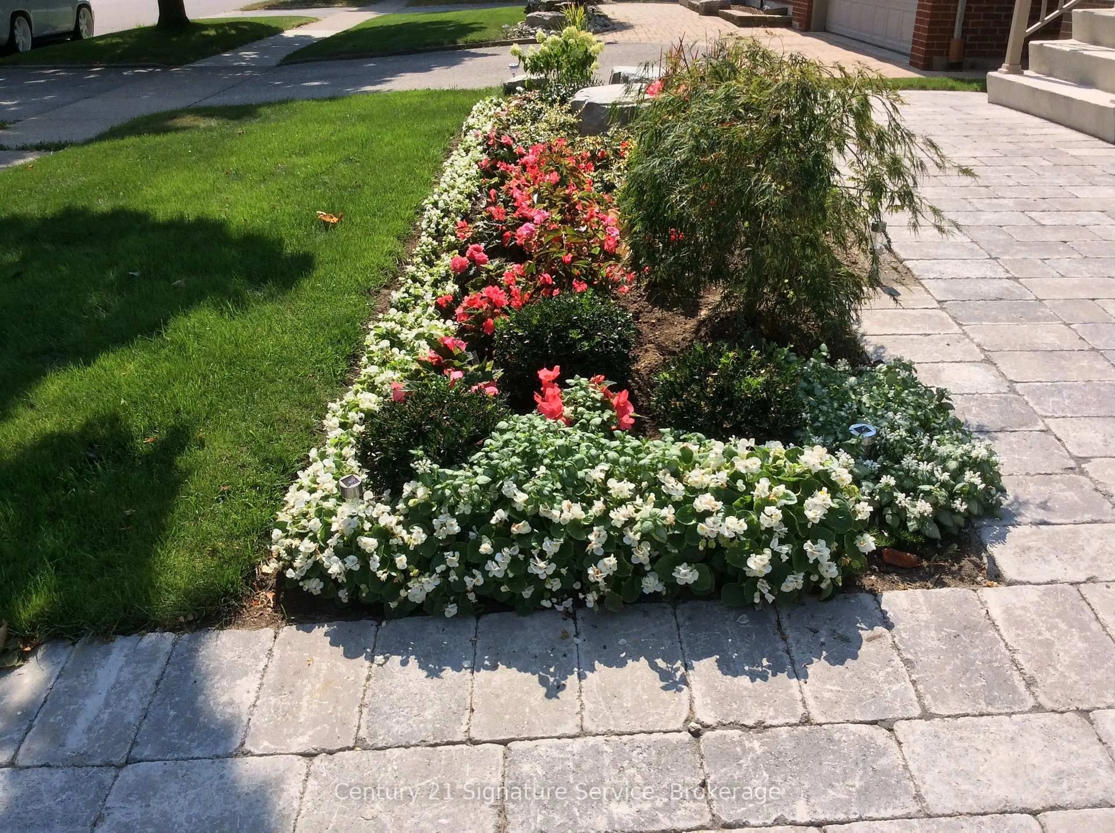 Patio, street for 1459 Venta Ave, Mississauga Ontario L4X 1C9
