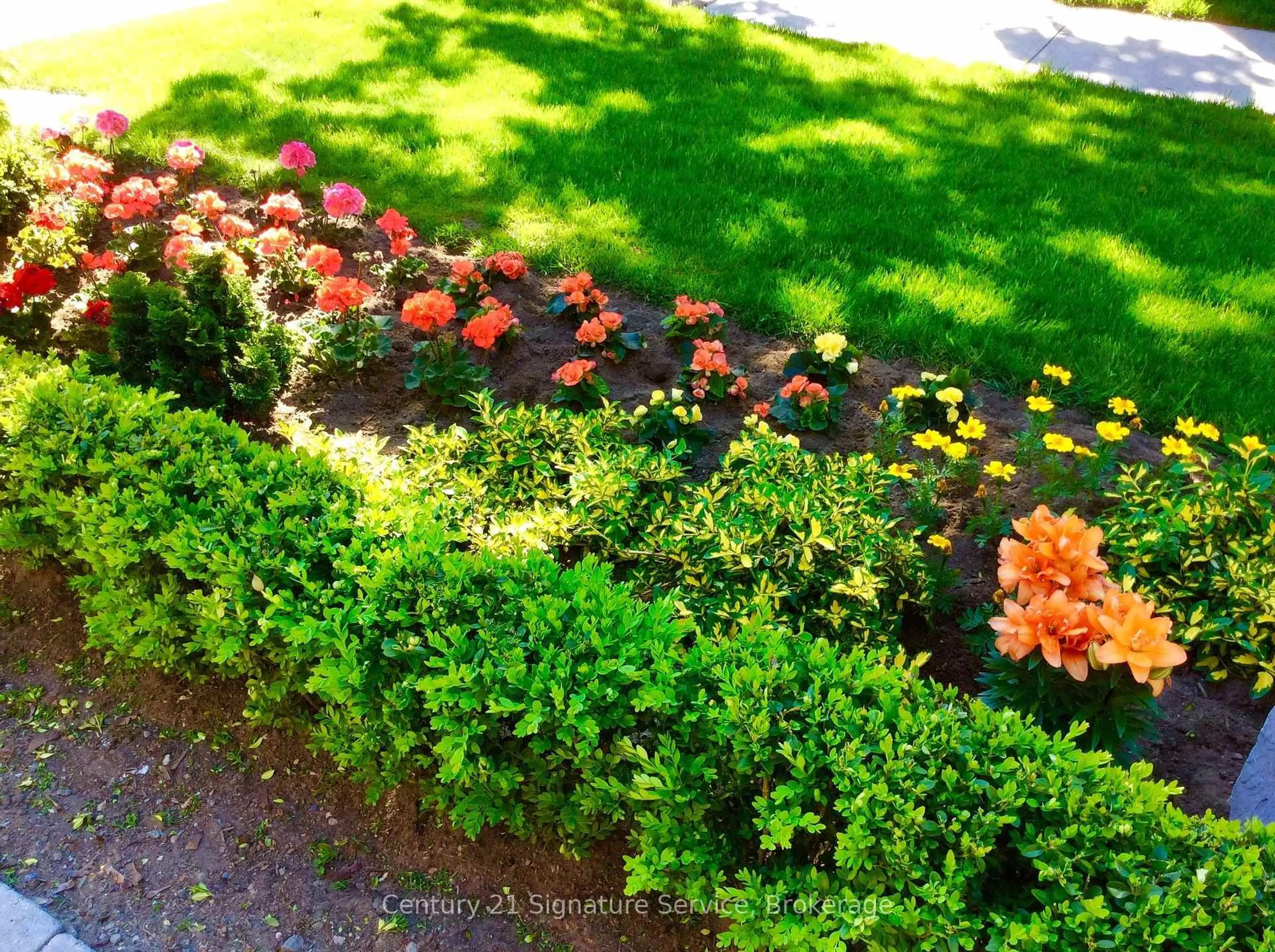 A pic from outside/outdoor area/front of a property/back of a property/a pic from drone, street for 1459 Venta Ave, Mississauga Ontario L4X 1C9