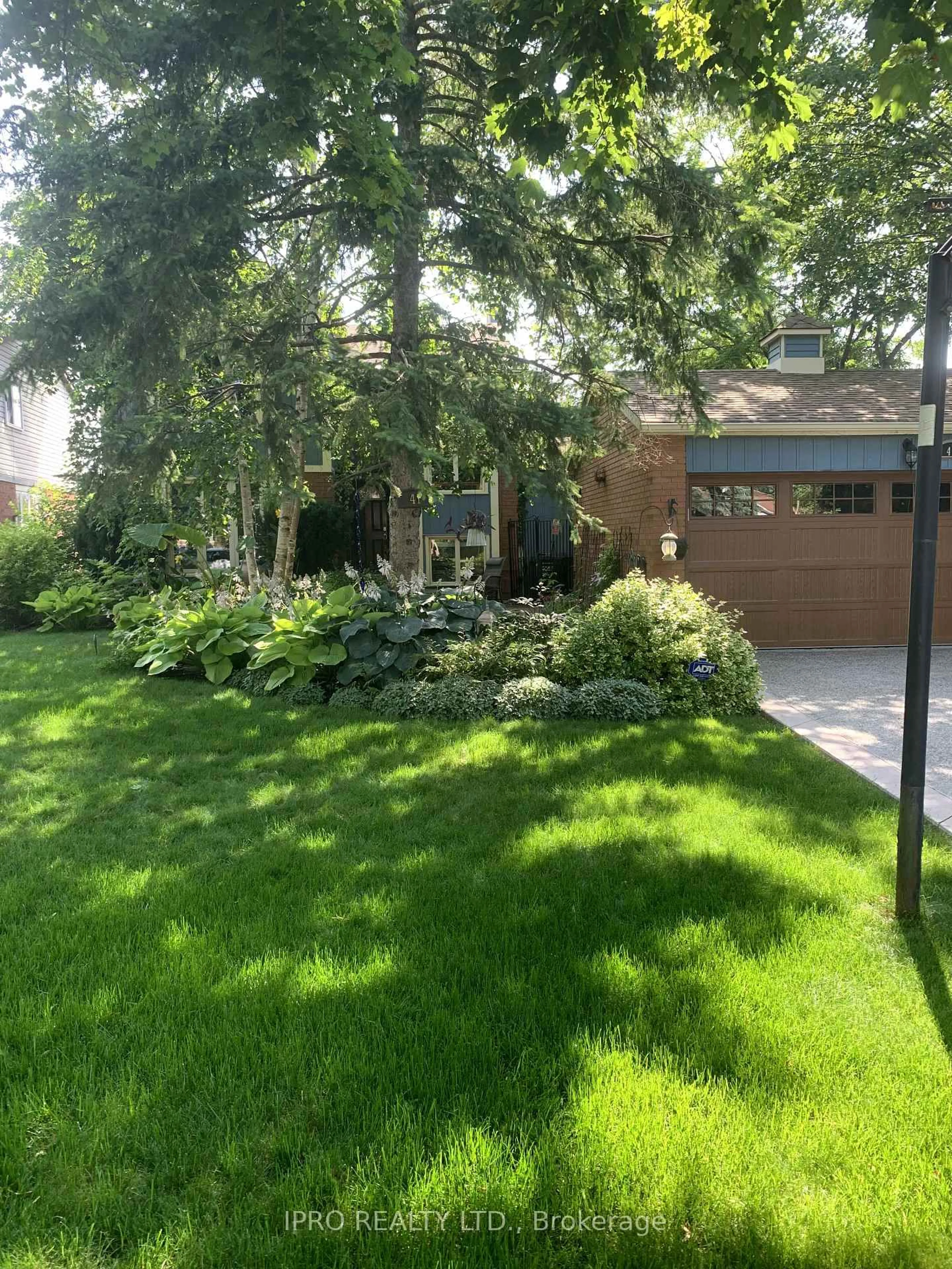 Unknown for 41 Marchmount Cres, Brampton Ontario L6S 2T2