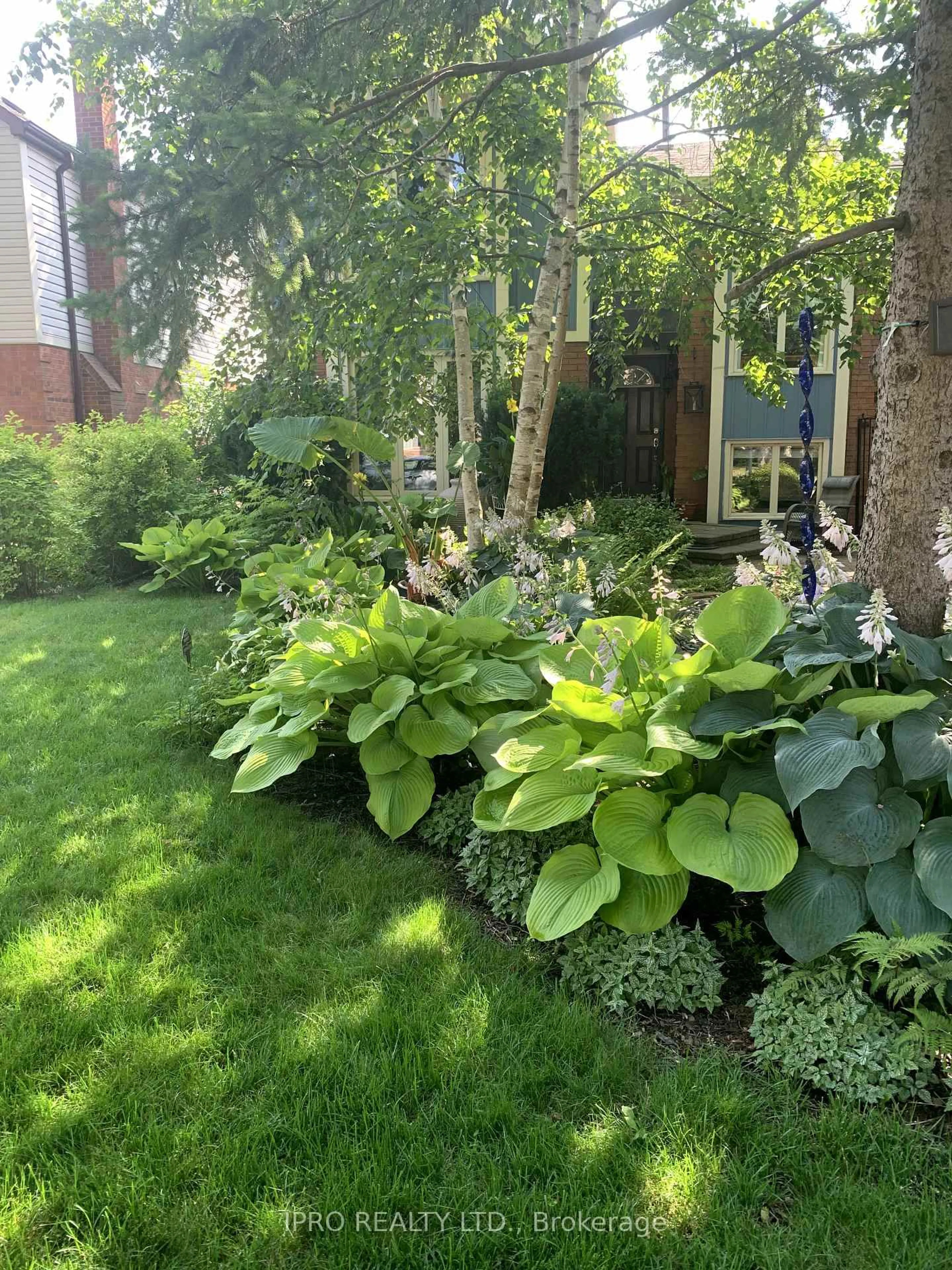 Patio, street for 41 Marchmount Cres, Brampton Ontario L6S 2T2
