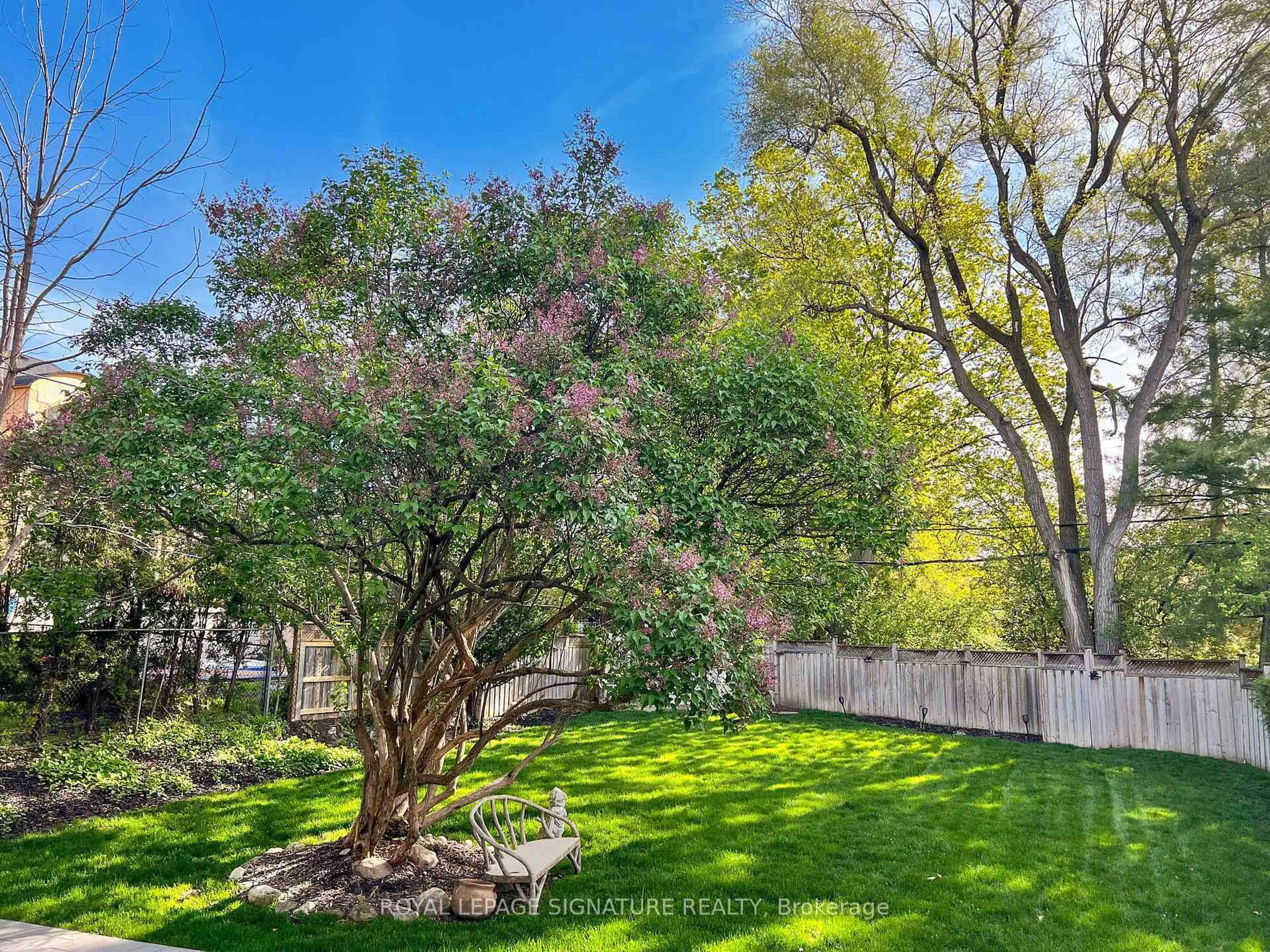A pic from outside/outdoor area/front of a property/back of a property/a pic from drone, forest/trees view for 1445 Islington Ave, Toronto Ontario M9A 3K8