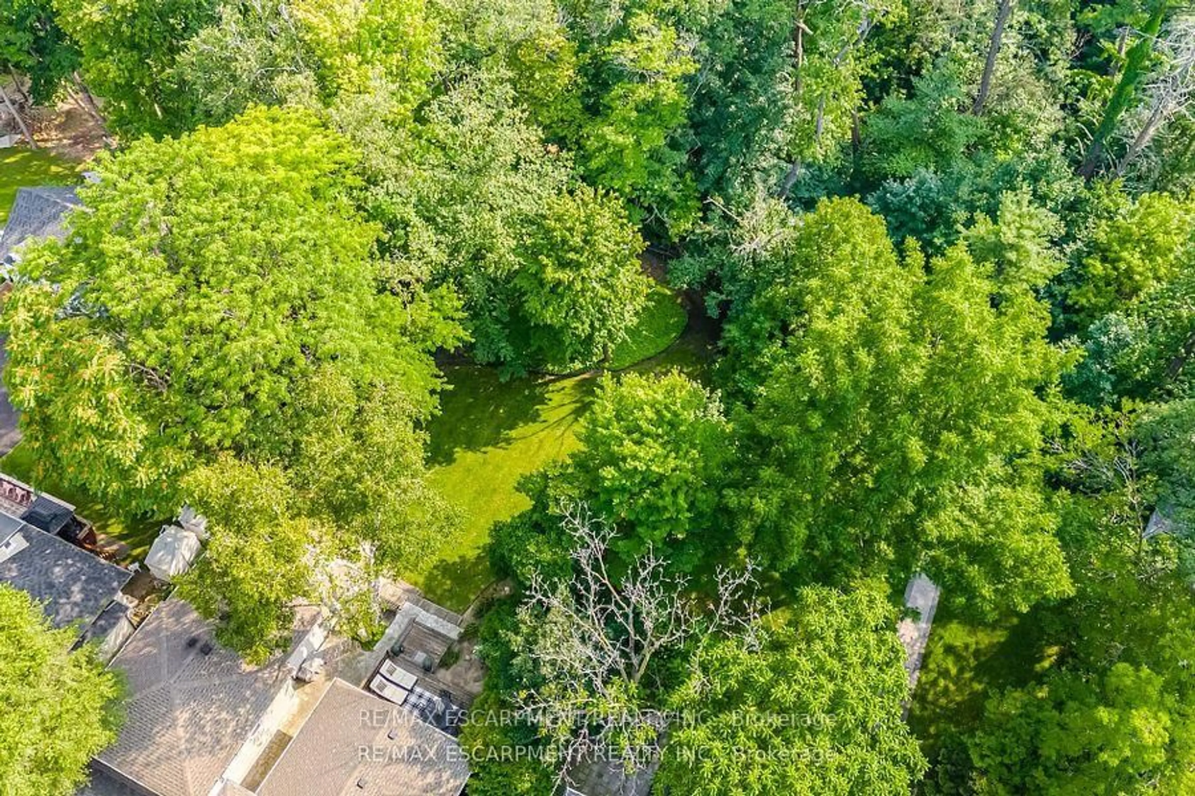 A pic from outside/outdoor area/front of a property/back of a property/a pic from drone, forest/trees view for 2126 Grange Dr, Mississauga Ontario L5B 1P5