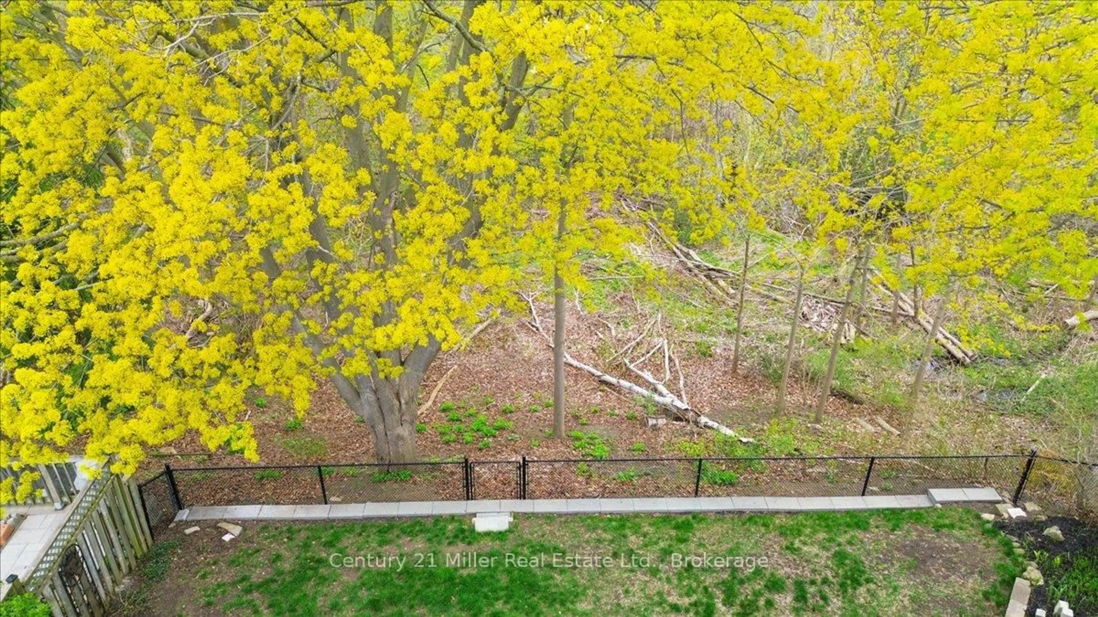 A pic from outside/outdoor area/front of a property/back of a property/a pic from drone, forest/trees view for 2301 Devon Rd, Oakville Ontario L6J 5R2