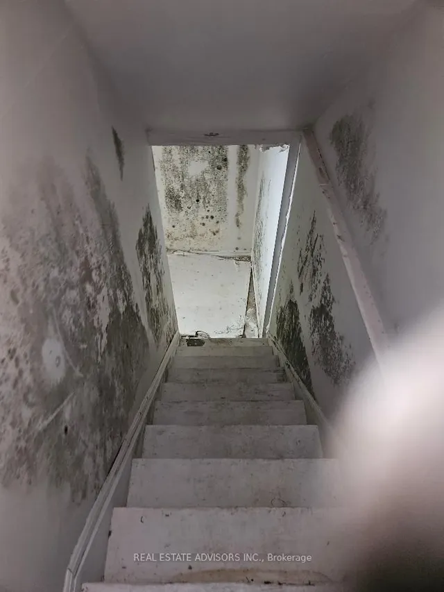 Additional property image - 19 Horseshoe Crt