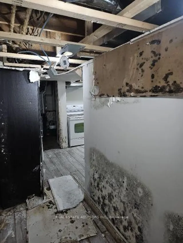 Additional property image - 19 Horseshoe Crt