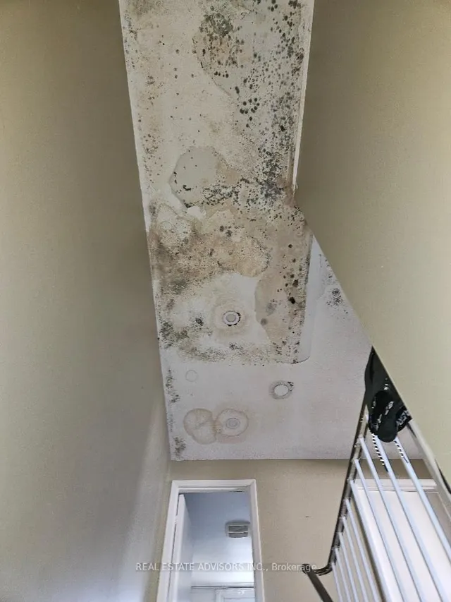 Additional property image - 19 Horseshoe Crt