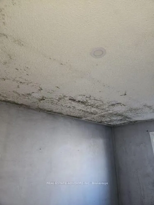 Additional property image - 19 Horseshoe Crt