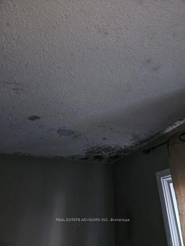 Additional property image - 19 Horseshoe Crt