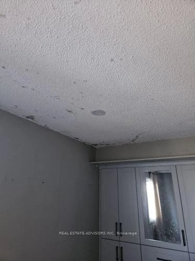 Additional property image - 19 Horseshoe Crt