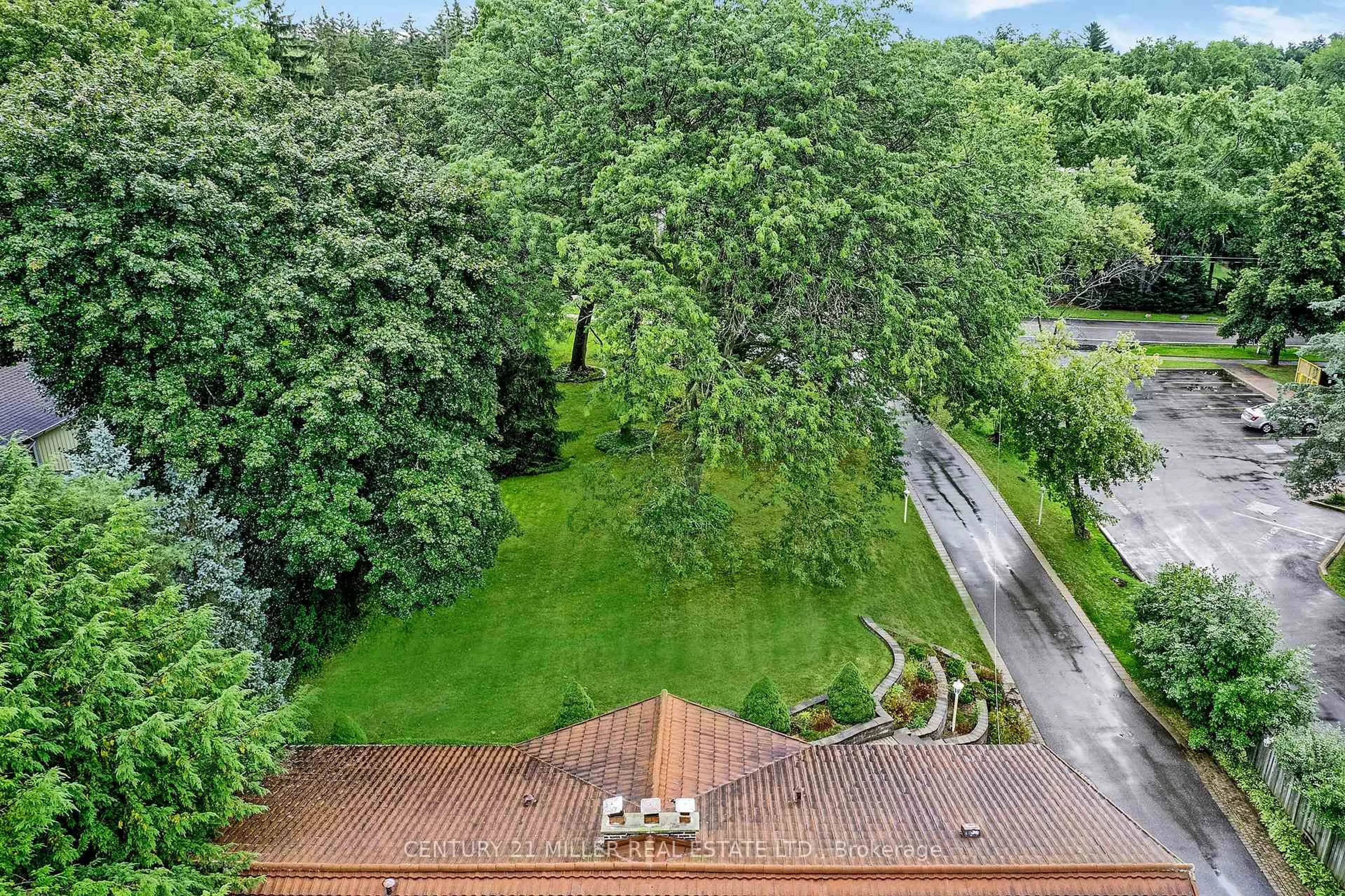 A pic from outside/outdoor area/front of a property/back of a property/a pic from drone, forest/trees view for 200 Morrison Rd, Oakville Ontario L6J 4J4