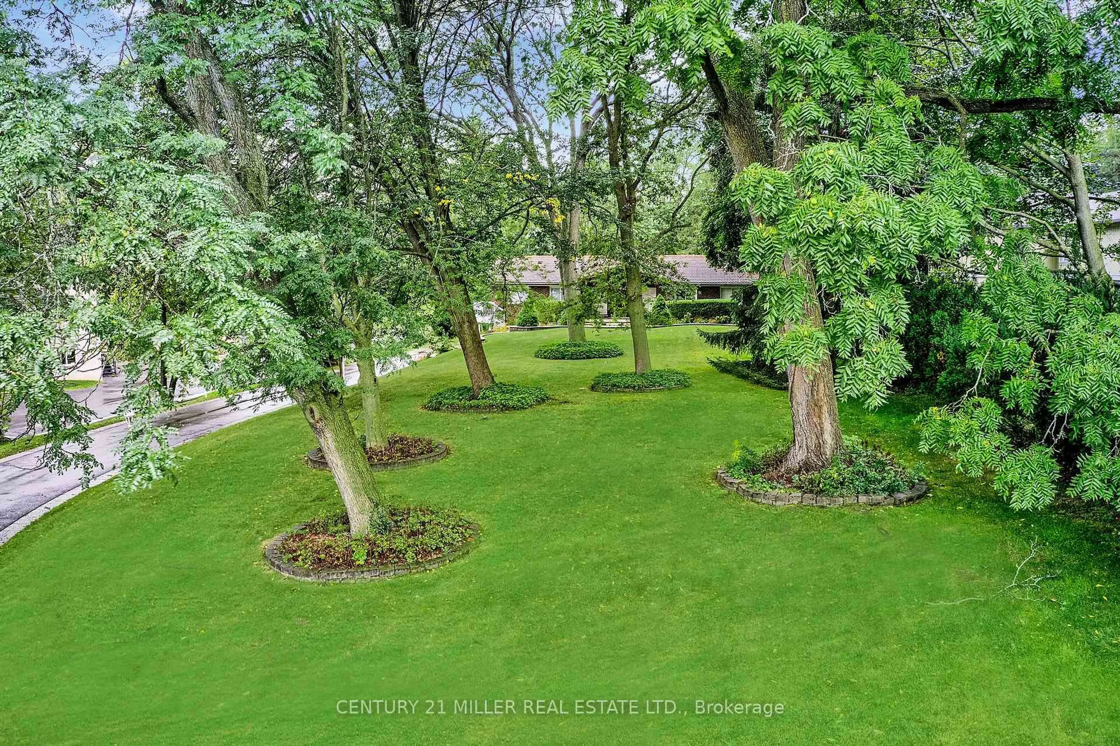 A pic from outside/outdoor area/front of a property/back of a property/a pic from drone, forest/trees view for 200 Morrison Rd, Oakville Ontario L6J 4J4