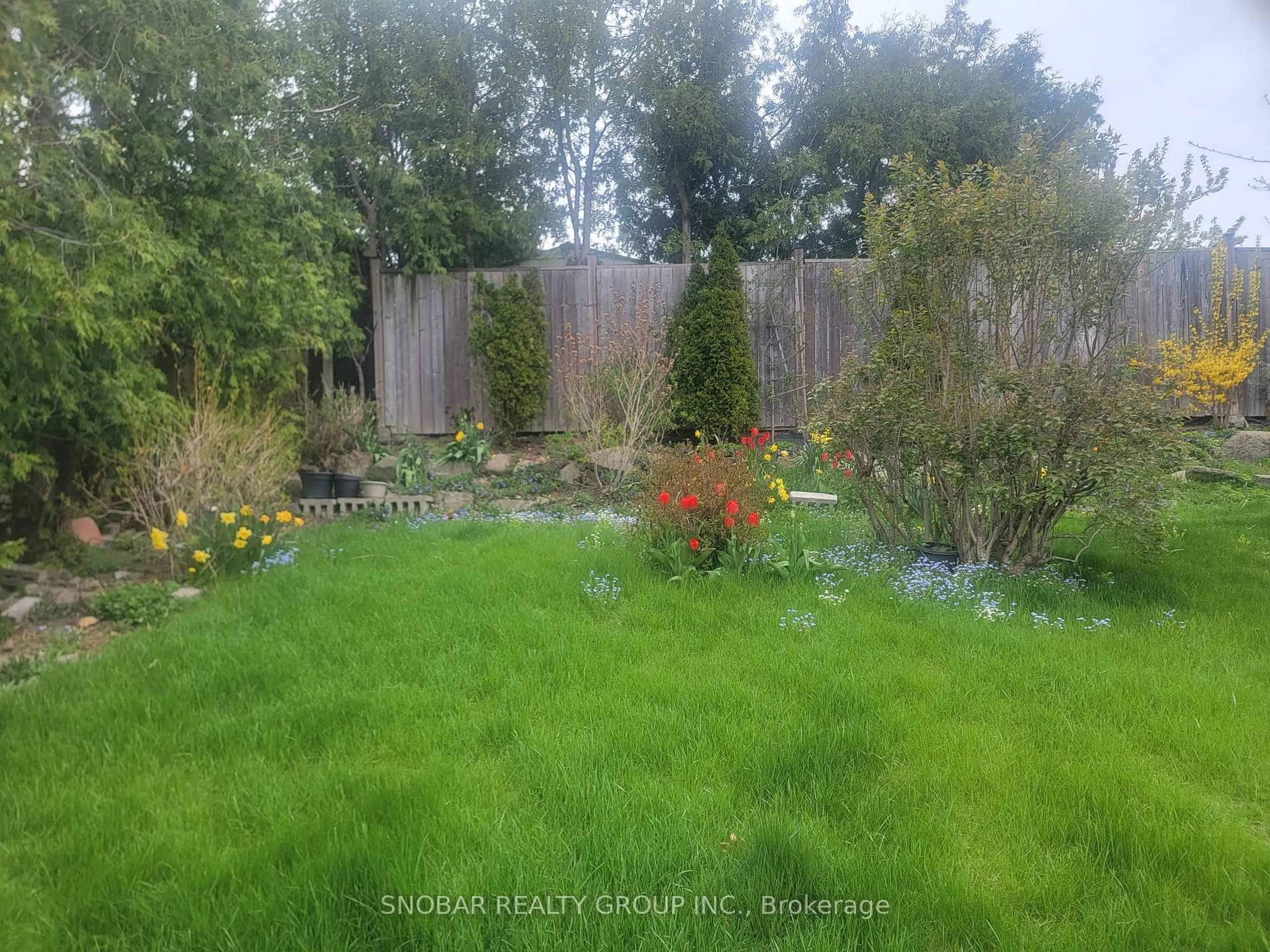 A pic from outside/outdoor area/front of a property/back of a property/a pic from drone, forest/trees view for 3623 Queenston Dr, Mississauga Ontario L5C 2G9