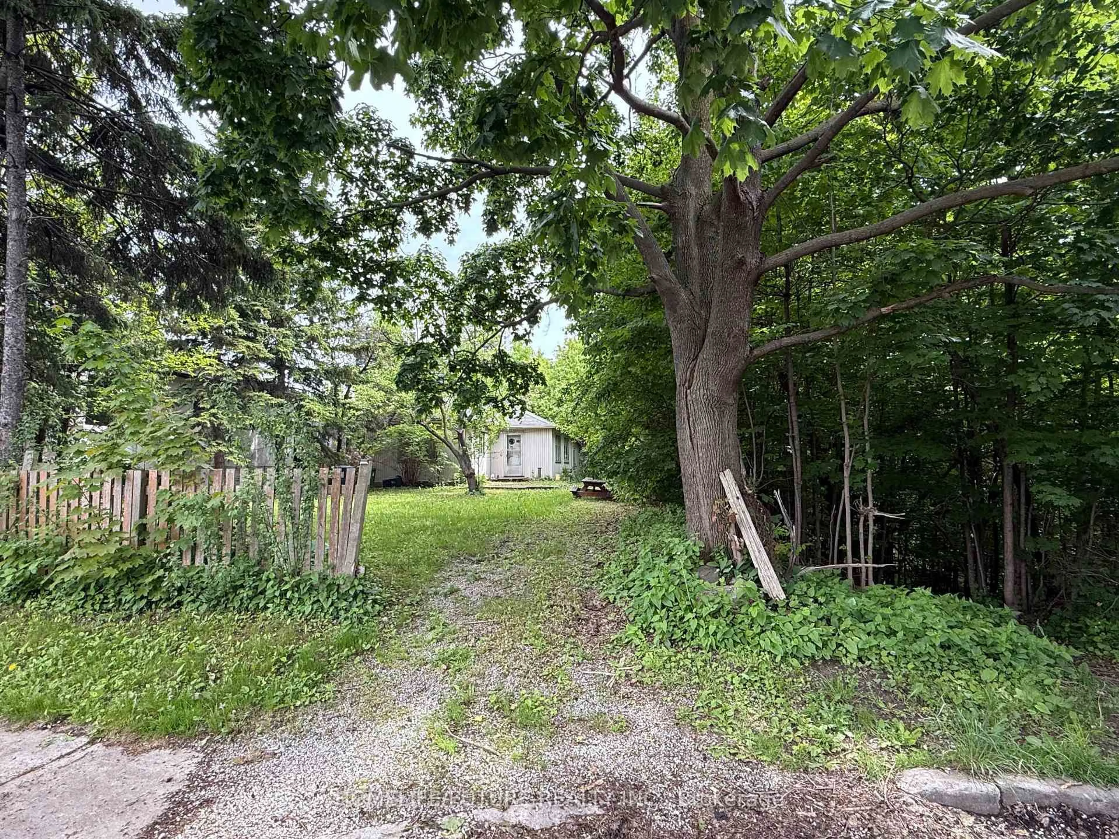 Shed for 31 Maple Bush Ave, Toronto Ontario M1N 1S7