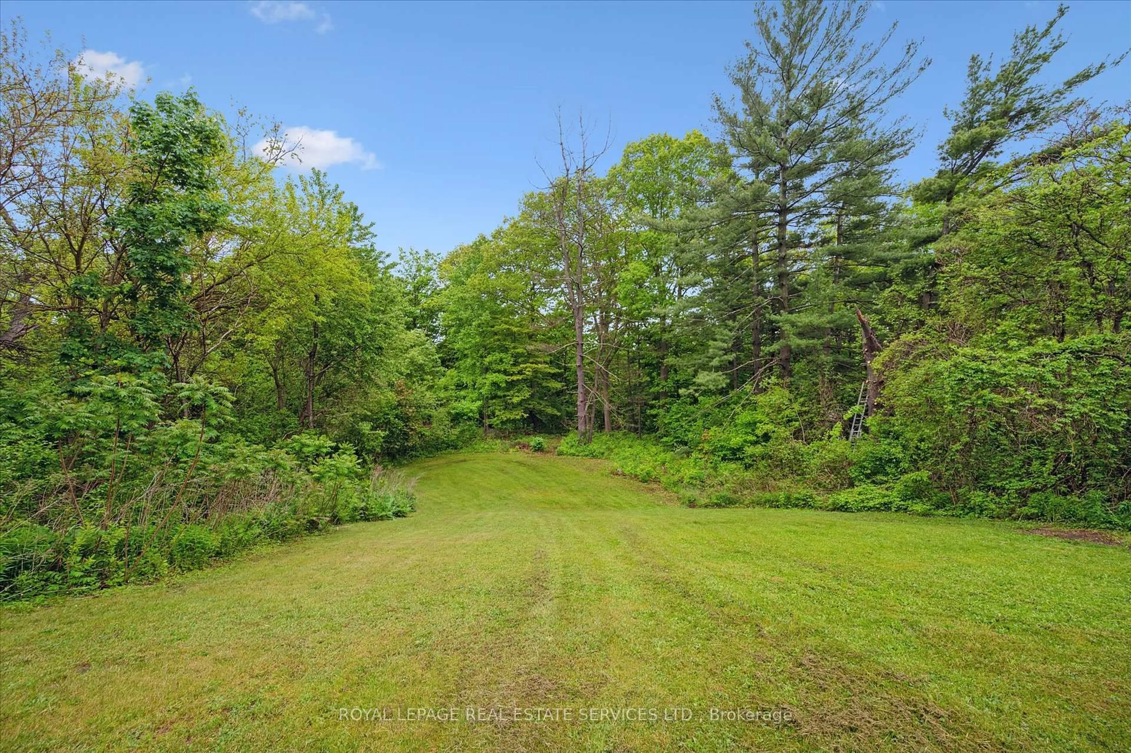 A pic from outside/outdoor area/front of a property/back of a property/a pic from drone, forest/trees view for 66 Rancliffe Rd, Oakville Ontario L6H 1B2