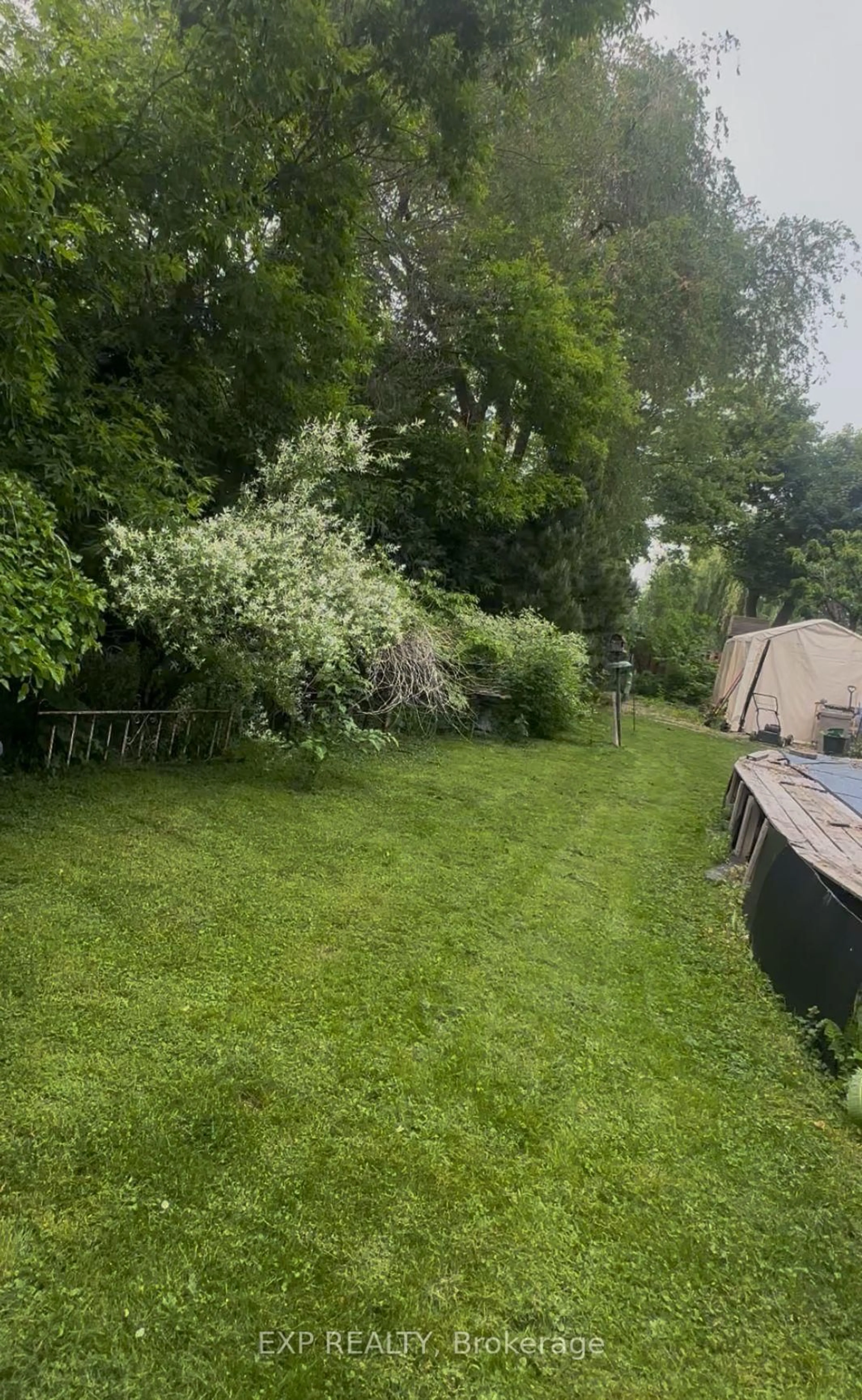A pic from outside/outdoor area/front of a property/back of a property/a pic from drone, forest/trees view for 3 Harrow St, Mississauga Ontario L4T 1J2