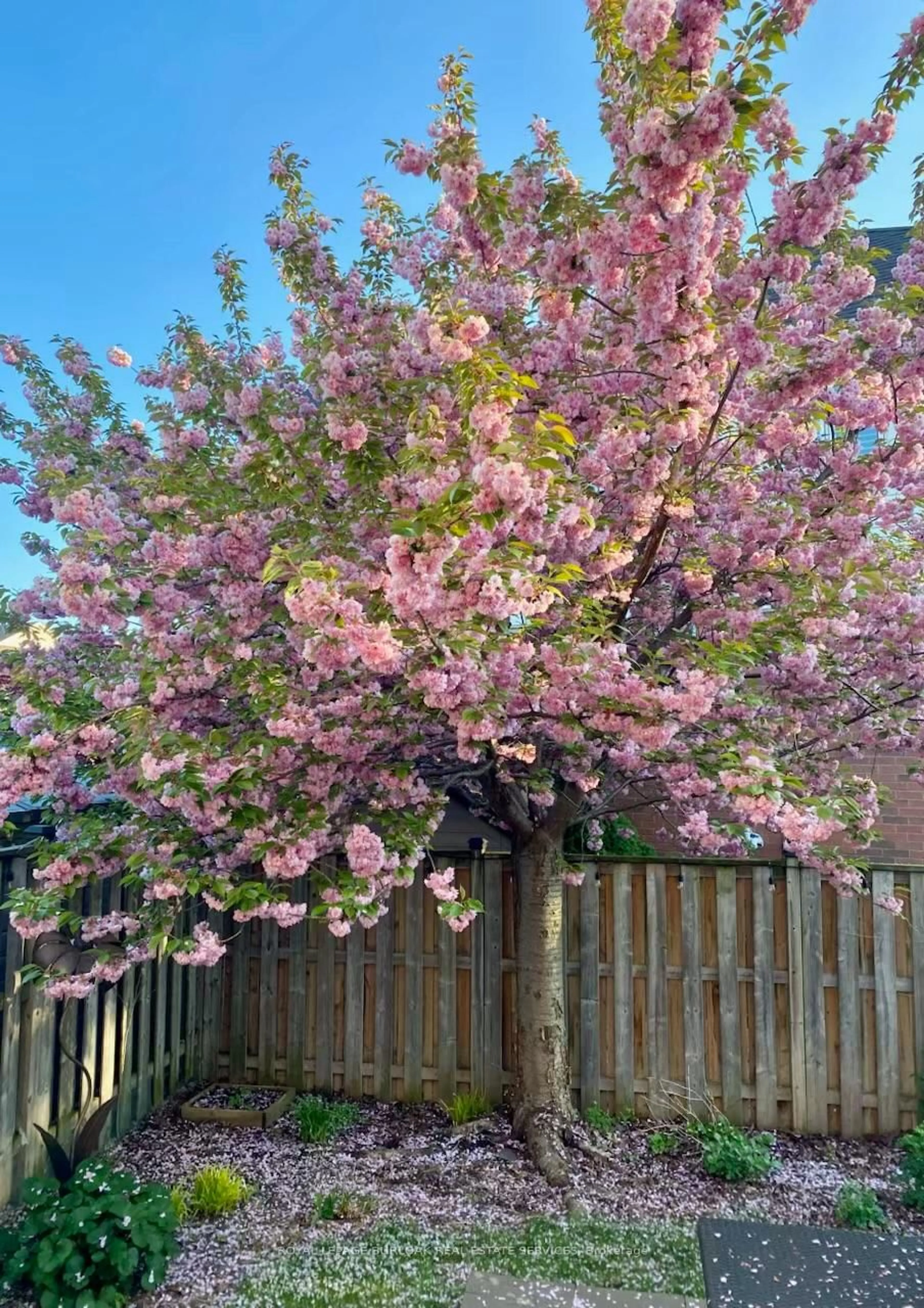 A pic from outside/outdoor area/front of a property/back of a property/a pic from drone, street for 3252 McCurdy Crt, Burlington Ontario L7M 0C1