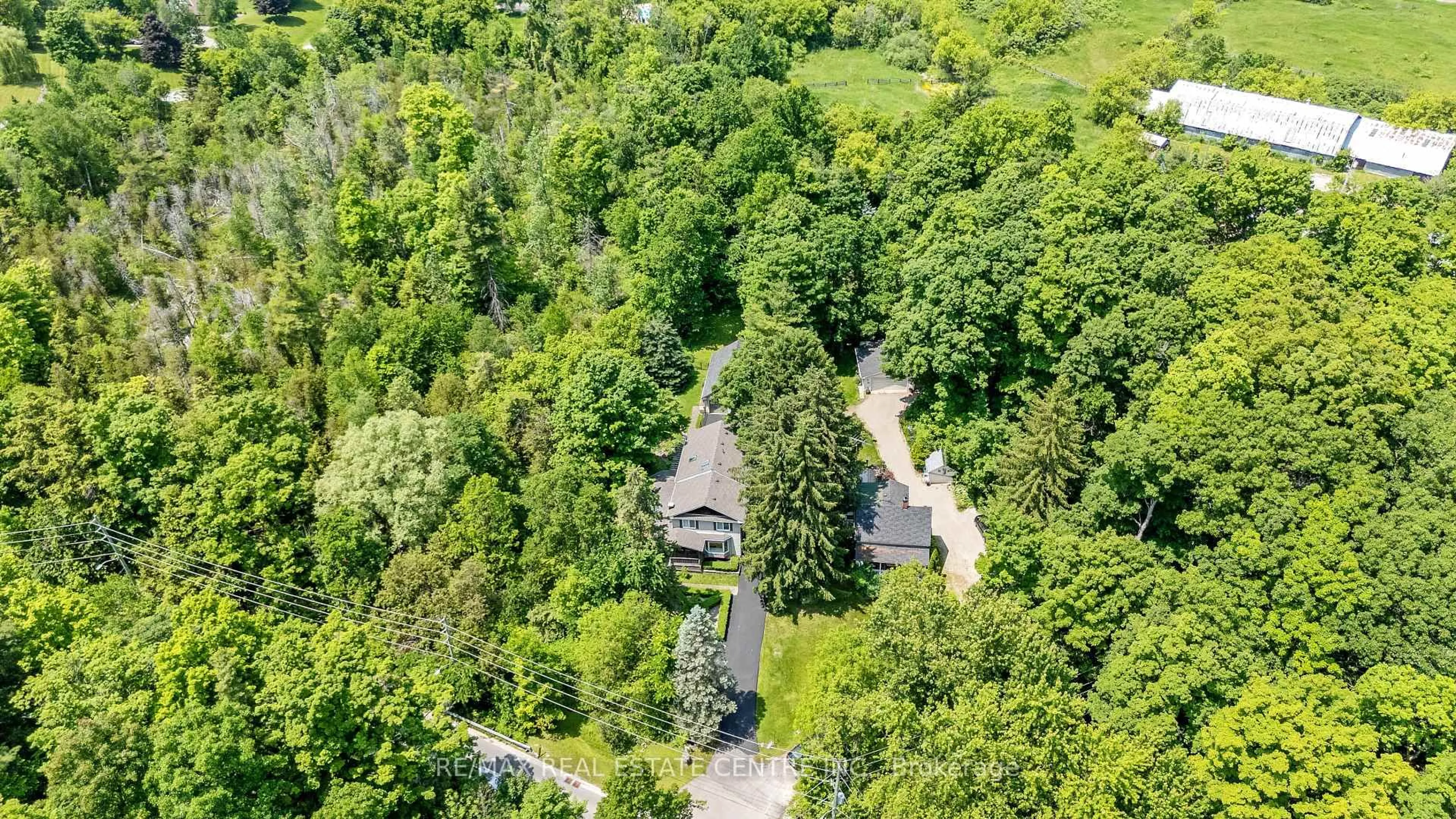 A pic from outside/outdoor area/front of a property/back of a property/a pic from drone, forest/trees view for 209 Campbell Ave, Milton Ontario L0P 1B0