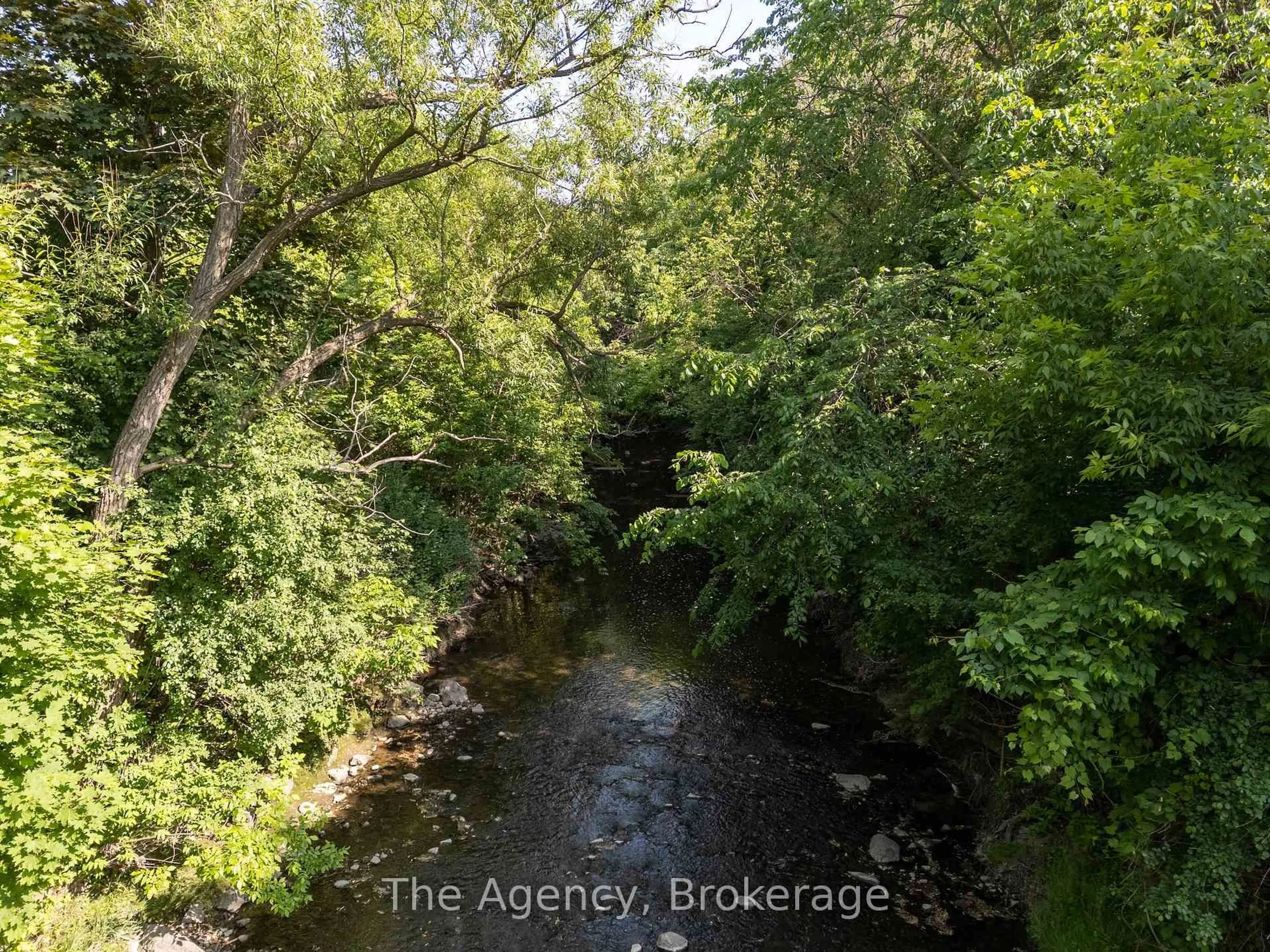 A pic from outside/outdoor area/front of a property/back of a property/a pic from drone, forest/trees view for 30 Deanewood Cres, Toronto Ontario M9B 3A9