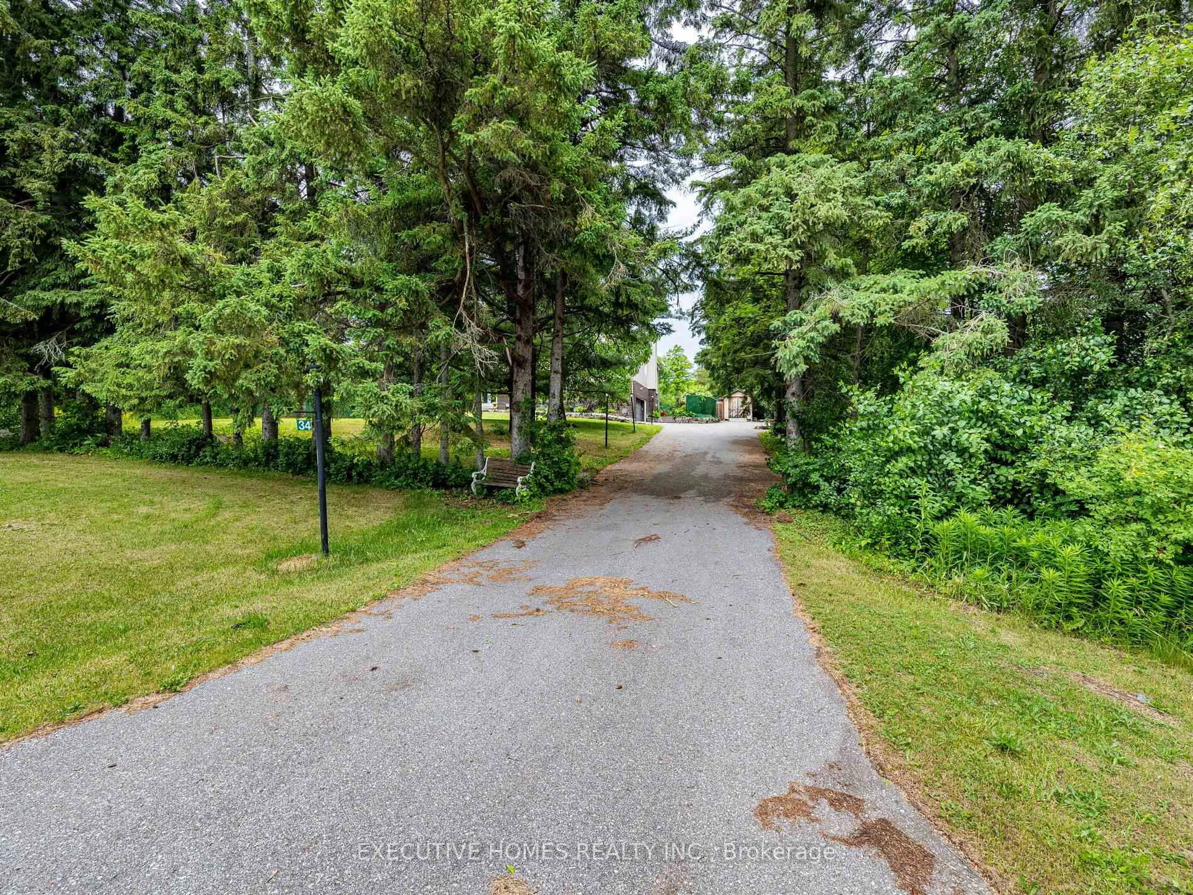 A pic from outside/outdoor area/front of a property/back of a property/a pic from drone, forest/trees view for 34 Kennedy Rd, Caledon Ontario L7C 2A7