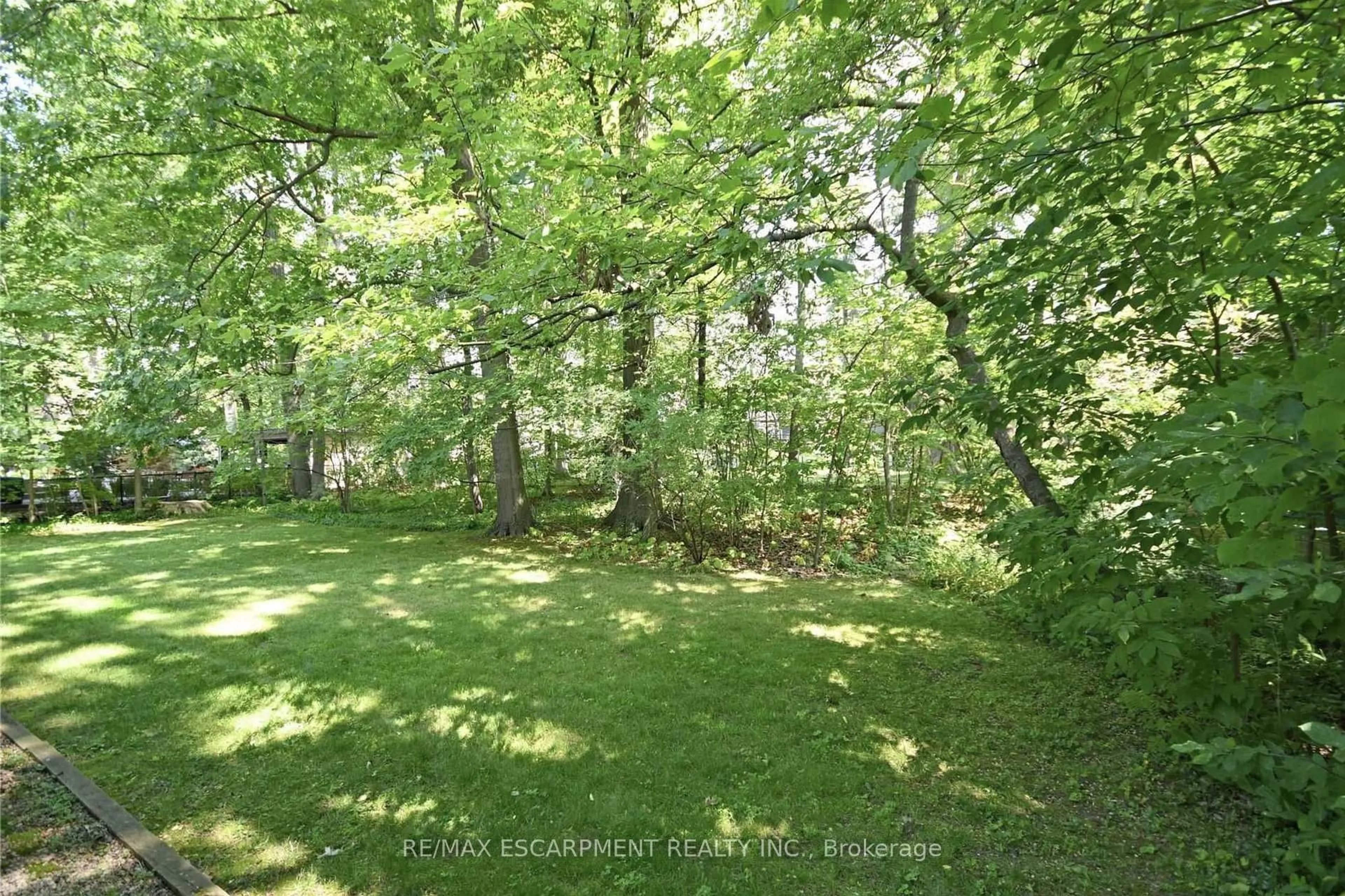 A pic from outside/outdoor area/front of a property/back of a property/a pic from drone, forest/trees view for 1261 Mona Rd, Mississauga Ontario L5G 2Z9