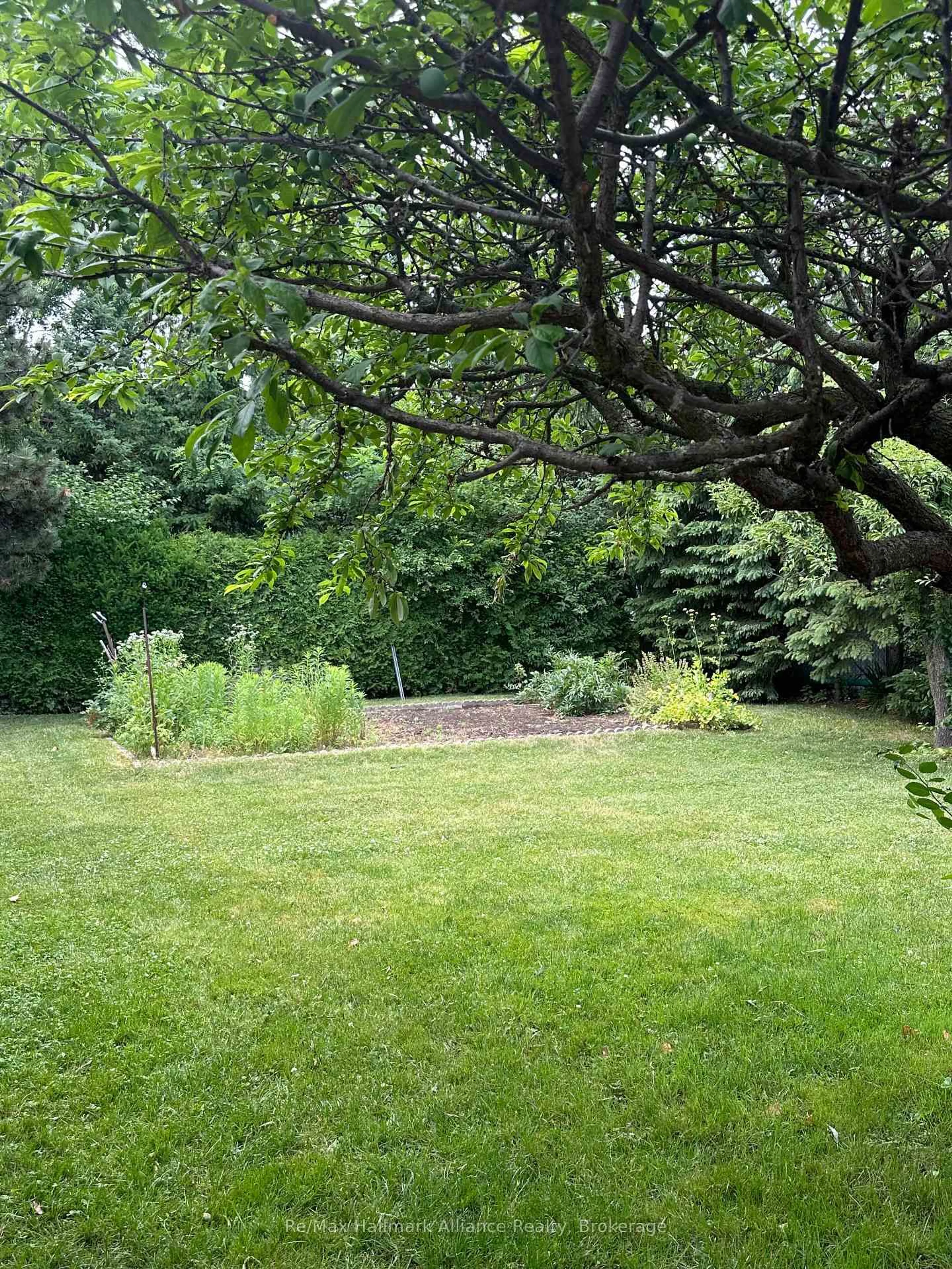 A pic from outside/outdoor area/front of a property/back of a property/a pic from drone, forest/trees view for 543 Pinegrove Dr, Oakville Ontario L6K 2C2