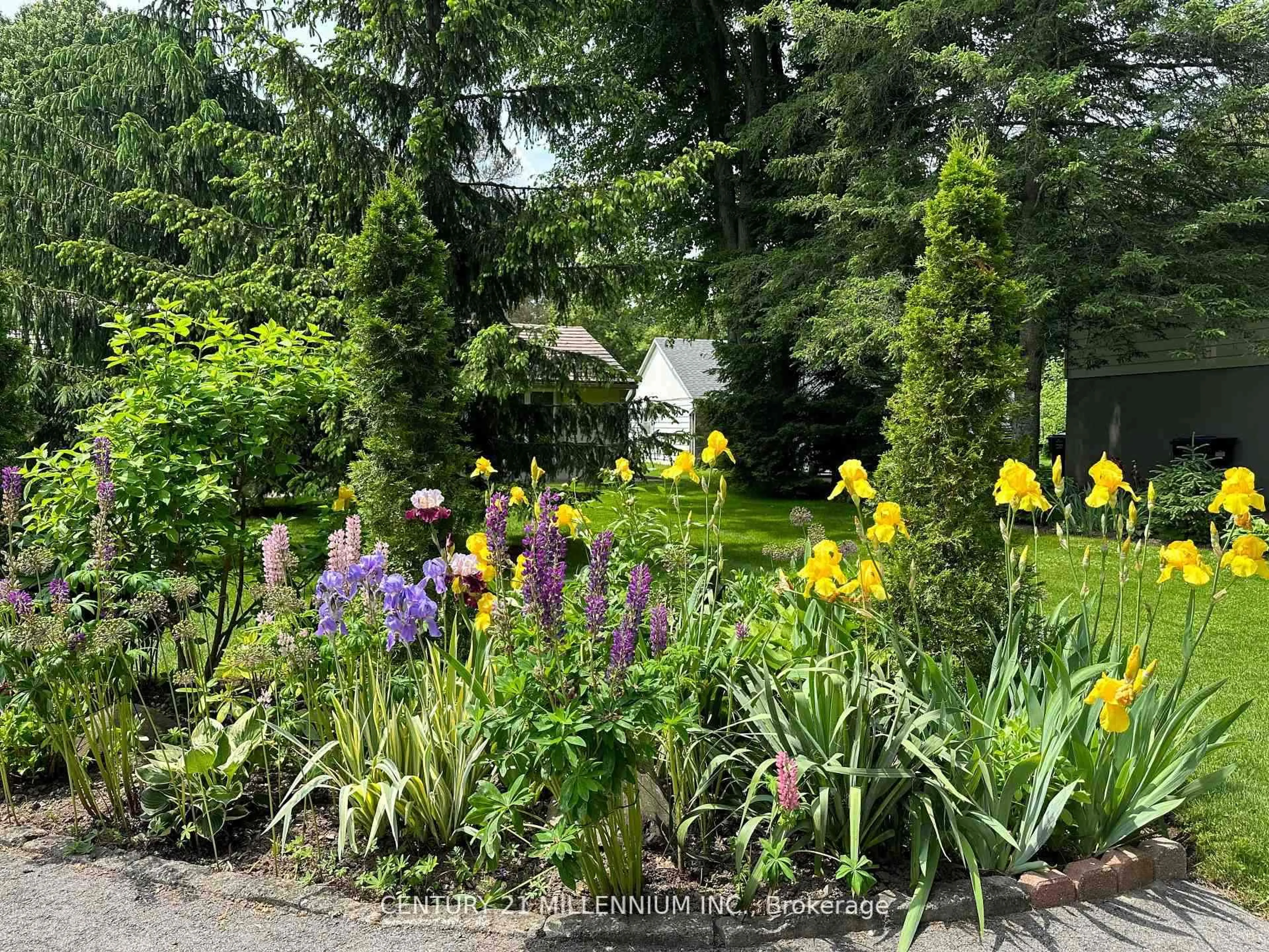 Unknown for 48 Credit Rd, Caledon Ontario L7C 3J1