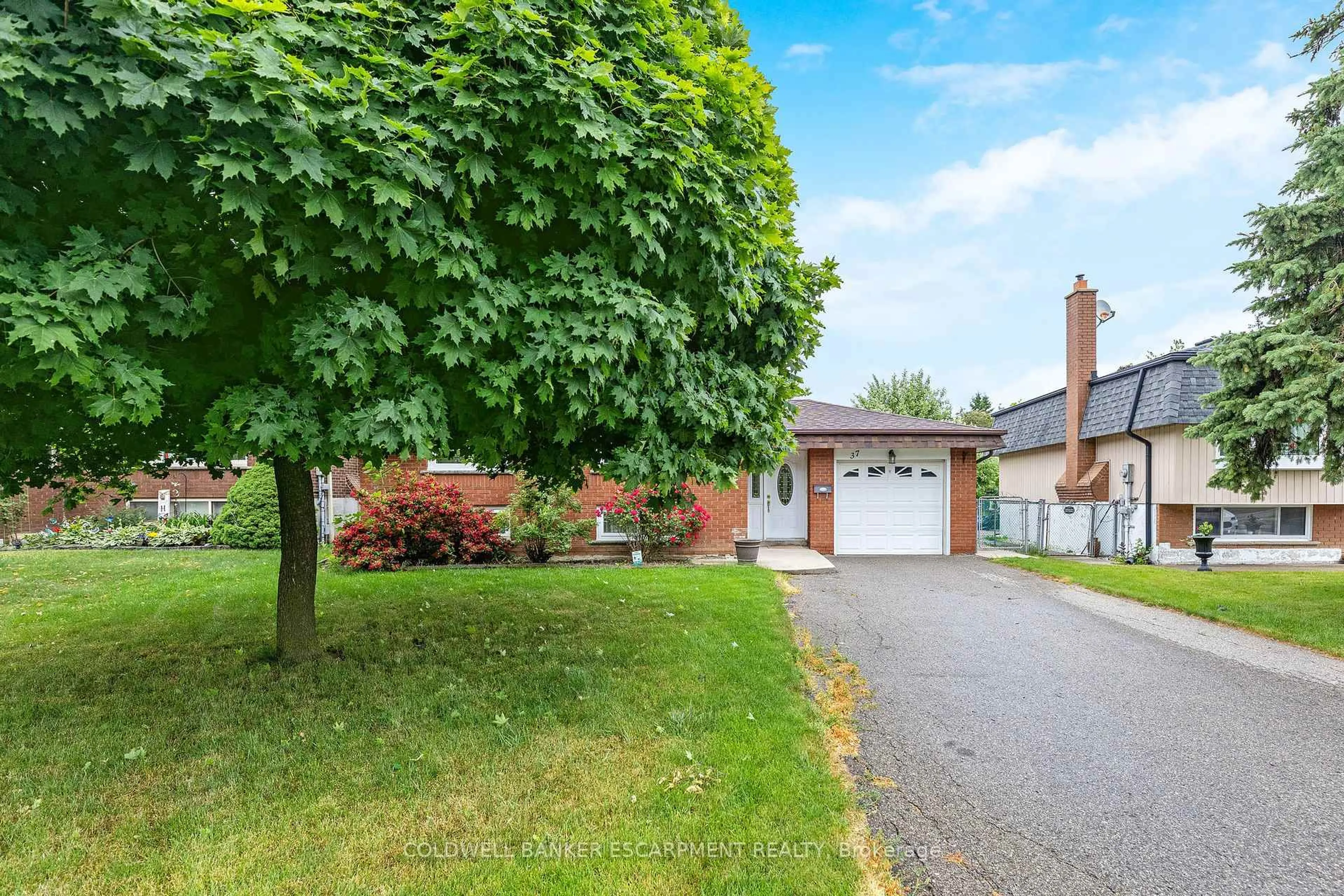 Home with brick exterior material, street for 37 Grassmere Cres, Brampton Ontario L6S 1C9