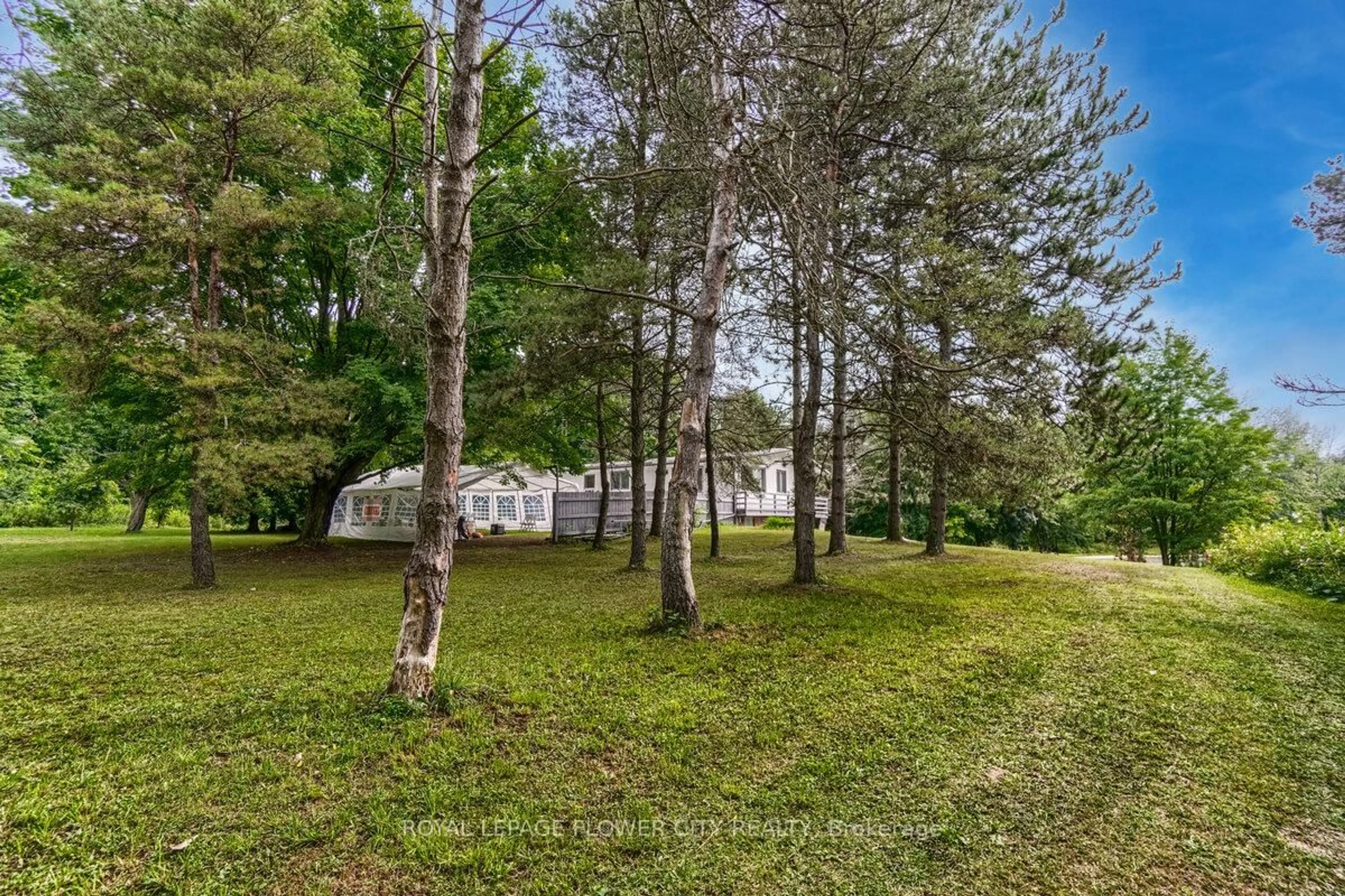 A pic from outside/outdoor area/front of a property/back of a property/a pic from drone, forest/trees view for 5812 Beech Grve, Caledon Ontario L7K 0M7