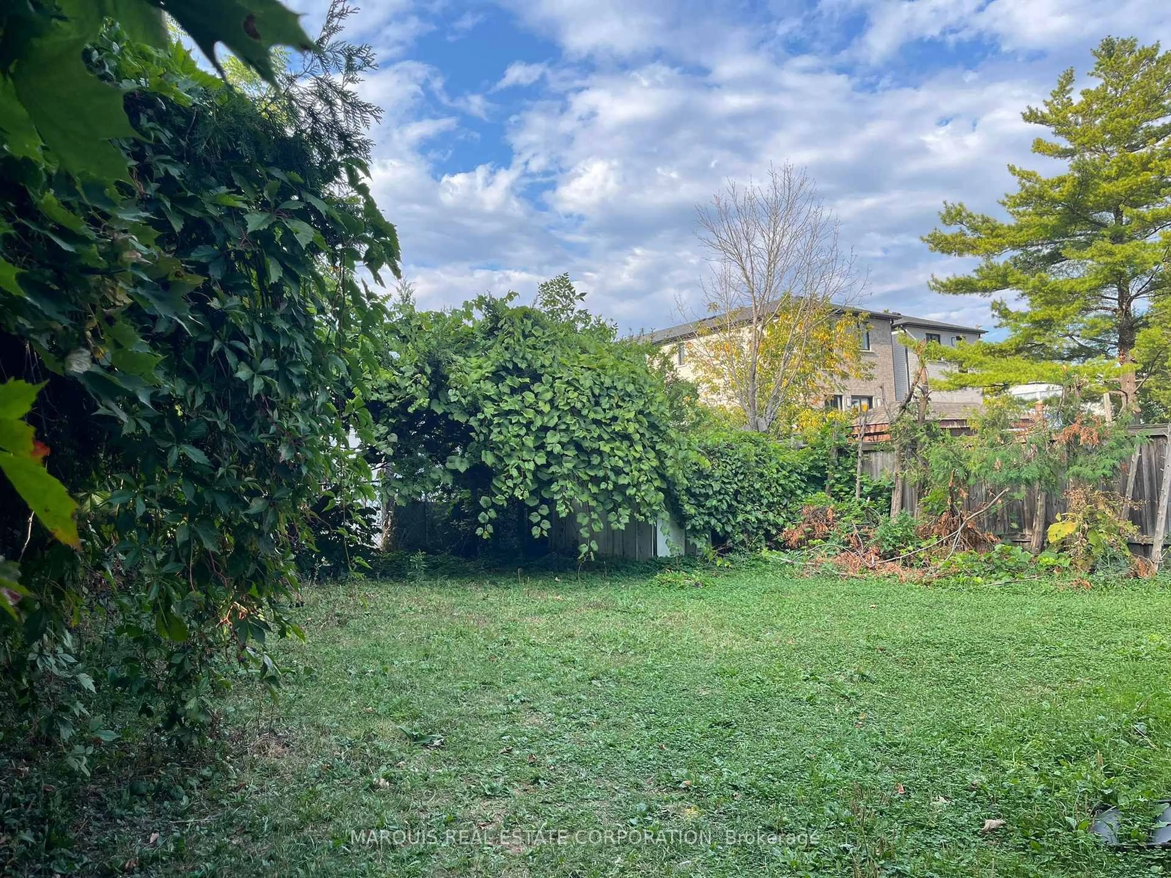 A pic from outside/outdoor area/front of a property/back of a property/a pic from drone, forest/trees view for 14 Cardell Ave, Toronto Ontario M9N 1S5