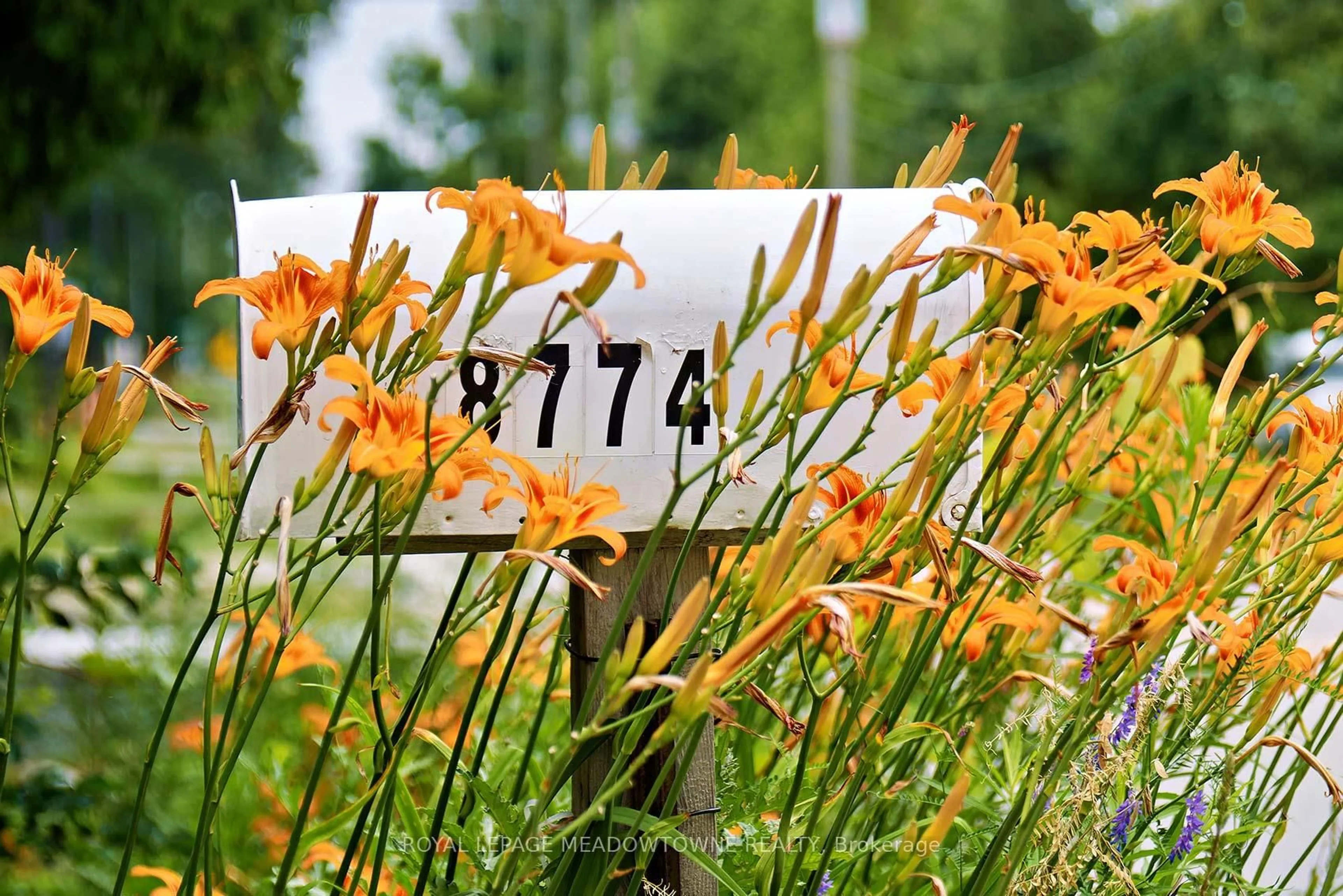 Unknown for 8774 Creditview Rd, Brampton Ontario L6Y 0G4