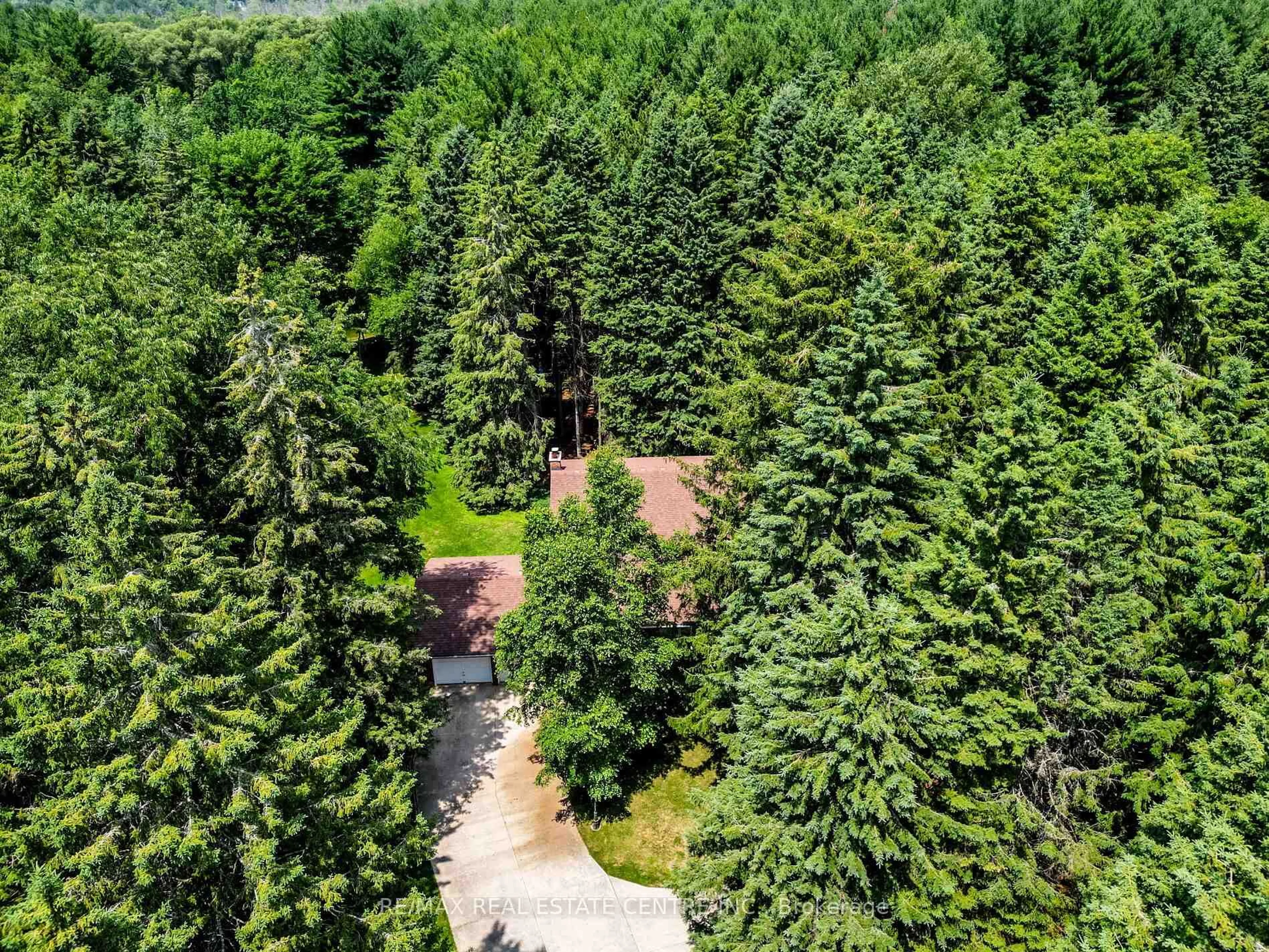 A pic from outside/outdoor area/front of a property/back of a property/a pic from drone, forest/trees view for 18 Damascus Dr, Caledon Ontario L7C 0A4