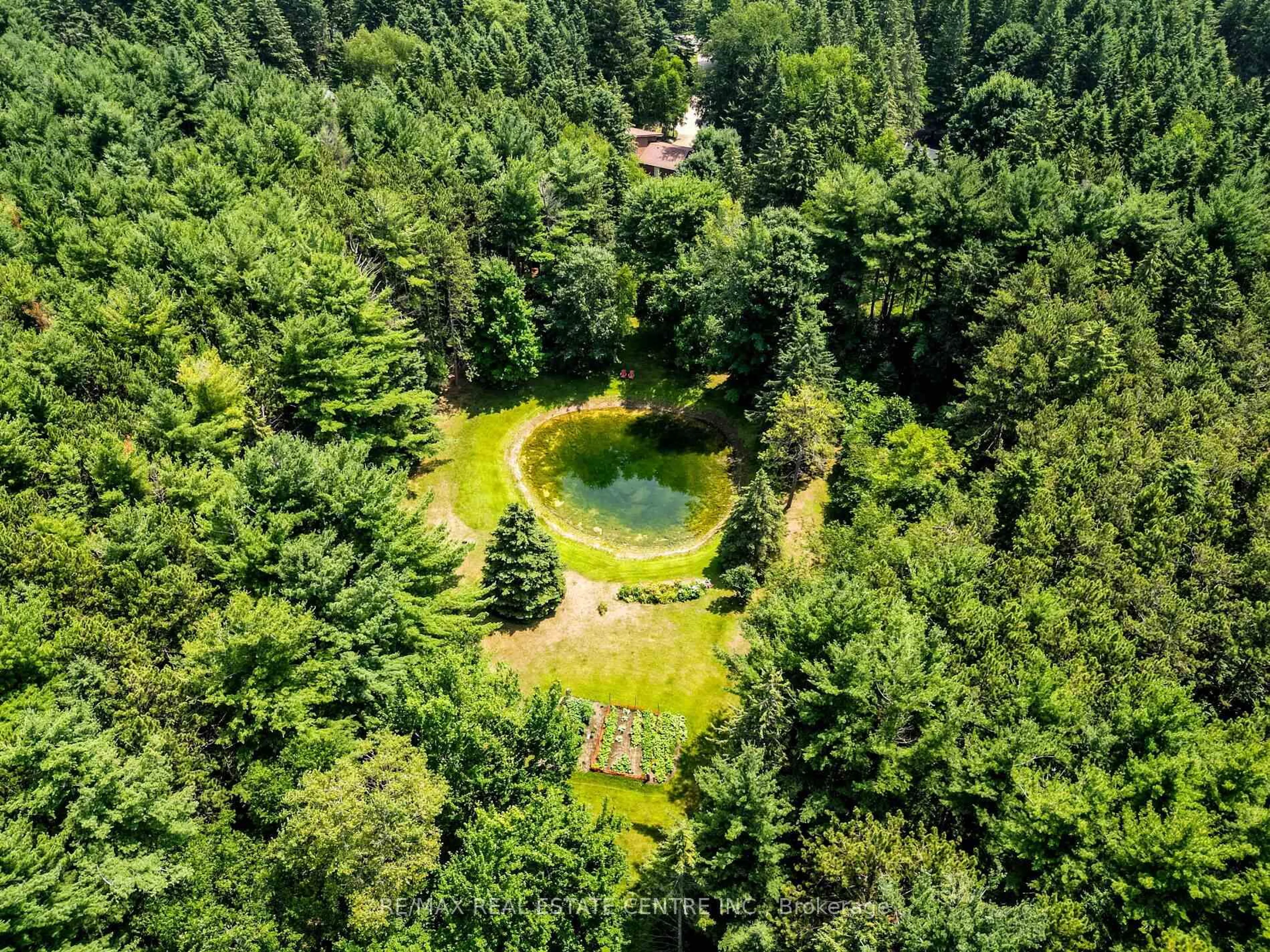 A pic from outside/outdoor area/front of a property/back of a property/a pic from drone, forest/trees view for 18 Damascus Dr, Caledon Ontario L7C 0A4