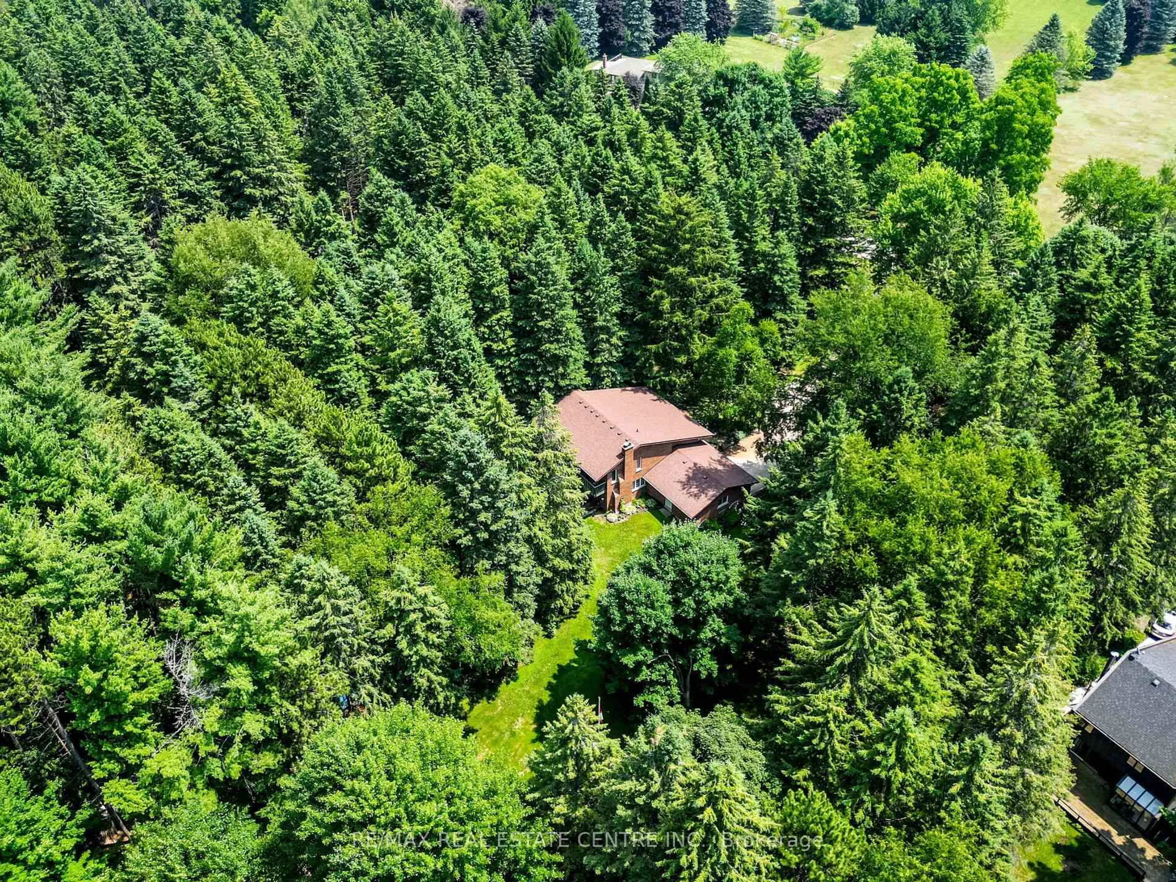 A pic from outside/outdoor area/front of a property/back of a property/a pic from drone, forest/trees view for 18 Damascus Dr, Caledon Ontario L7C 0A4