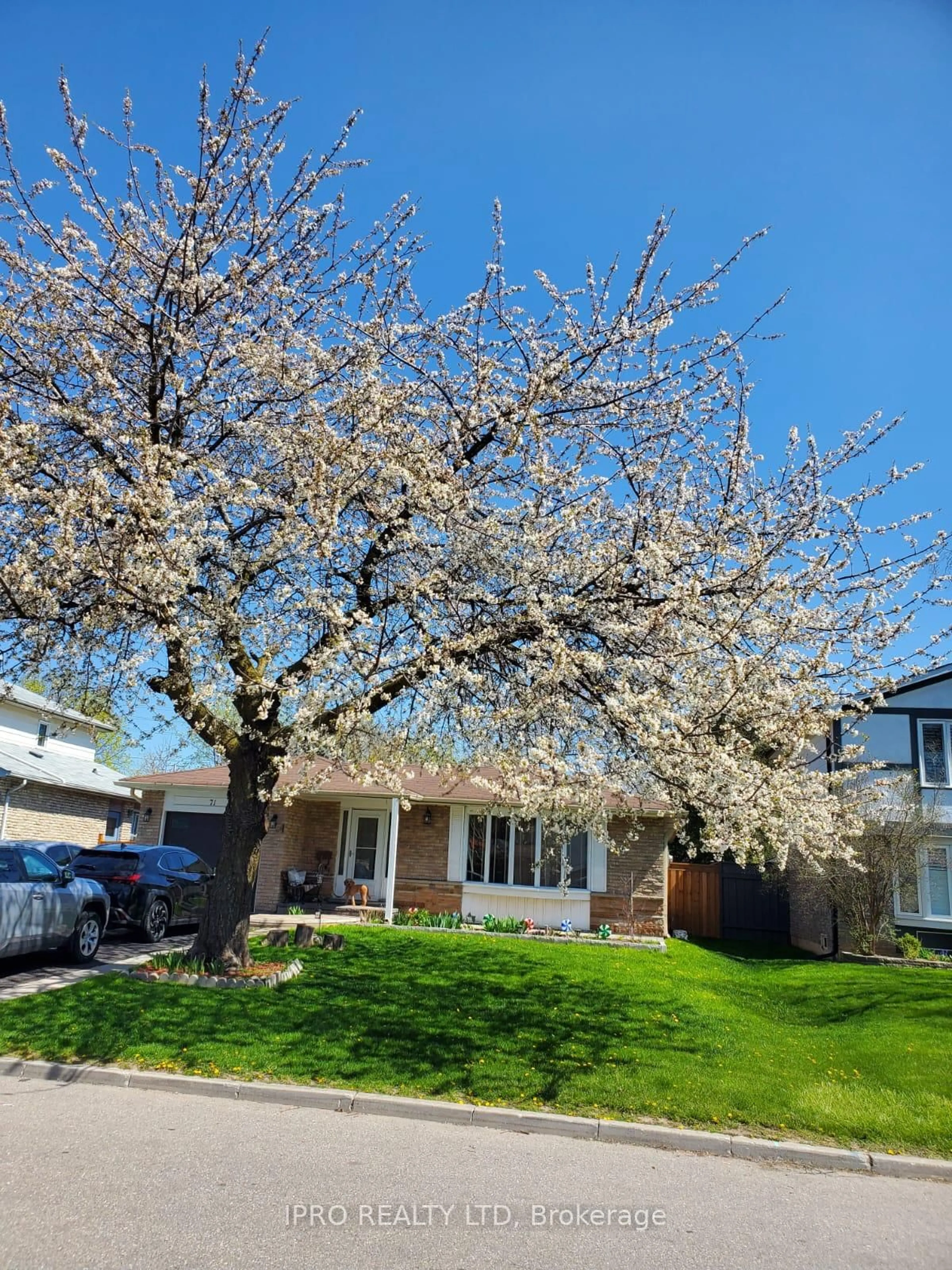 A pic from outside/outdoor area/front of a property/back of a property/a pic from drone, street for 71 Grassington Cres, Brampton Ontario L6S 1Z5