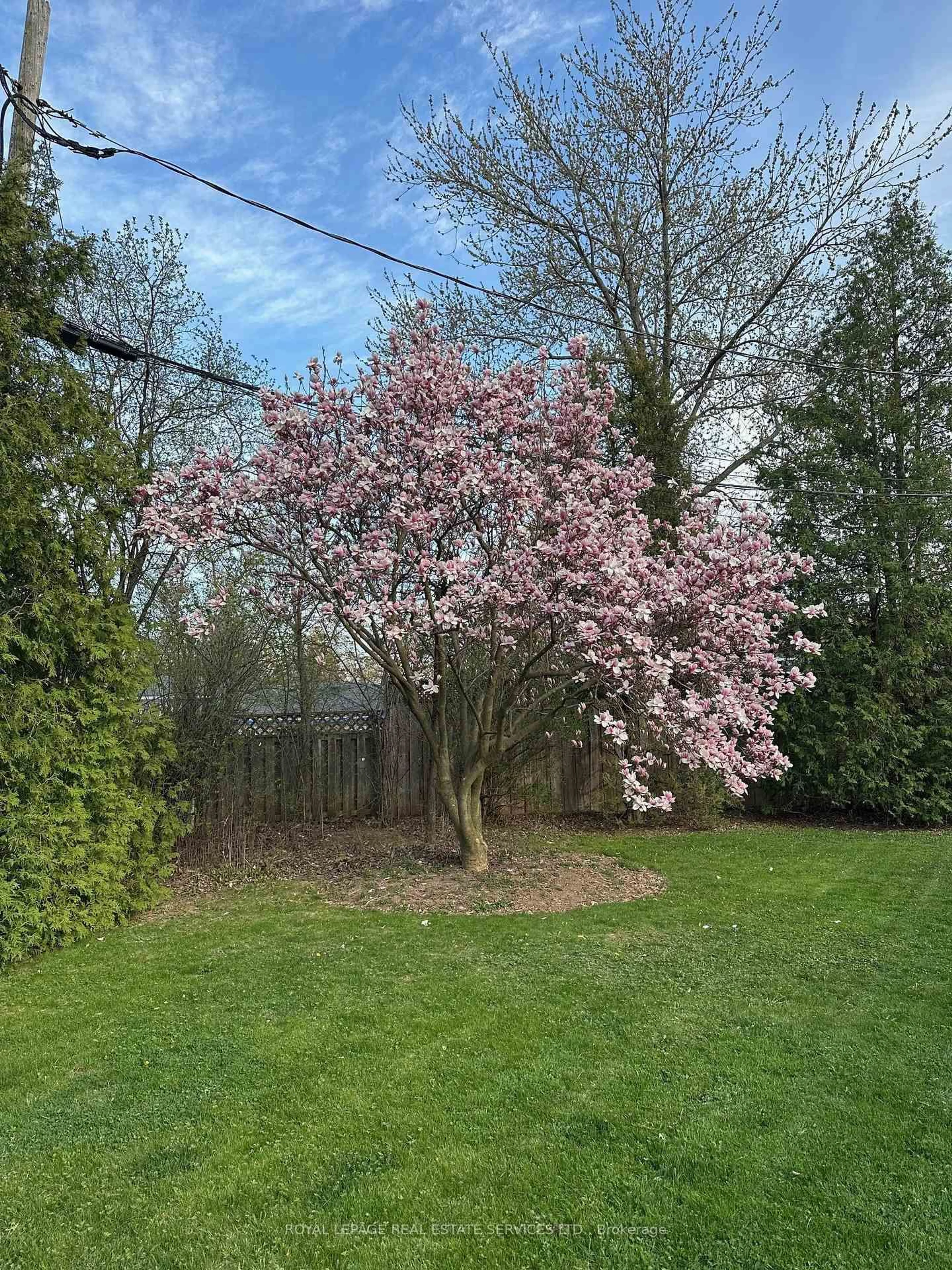 A pic from outside/outdoor area/front of a property/back of a property/a pic from drone, forest/trees view for 1324 Elgin Cres, Oakville Ontario L6H 2J7