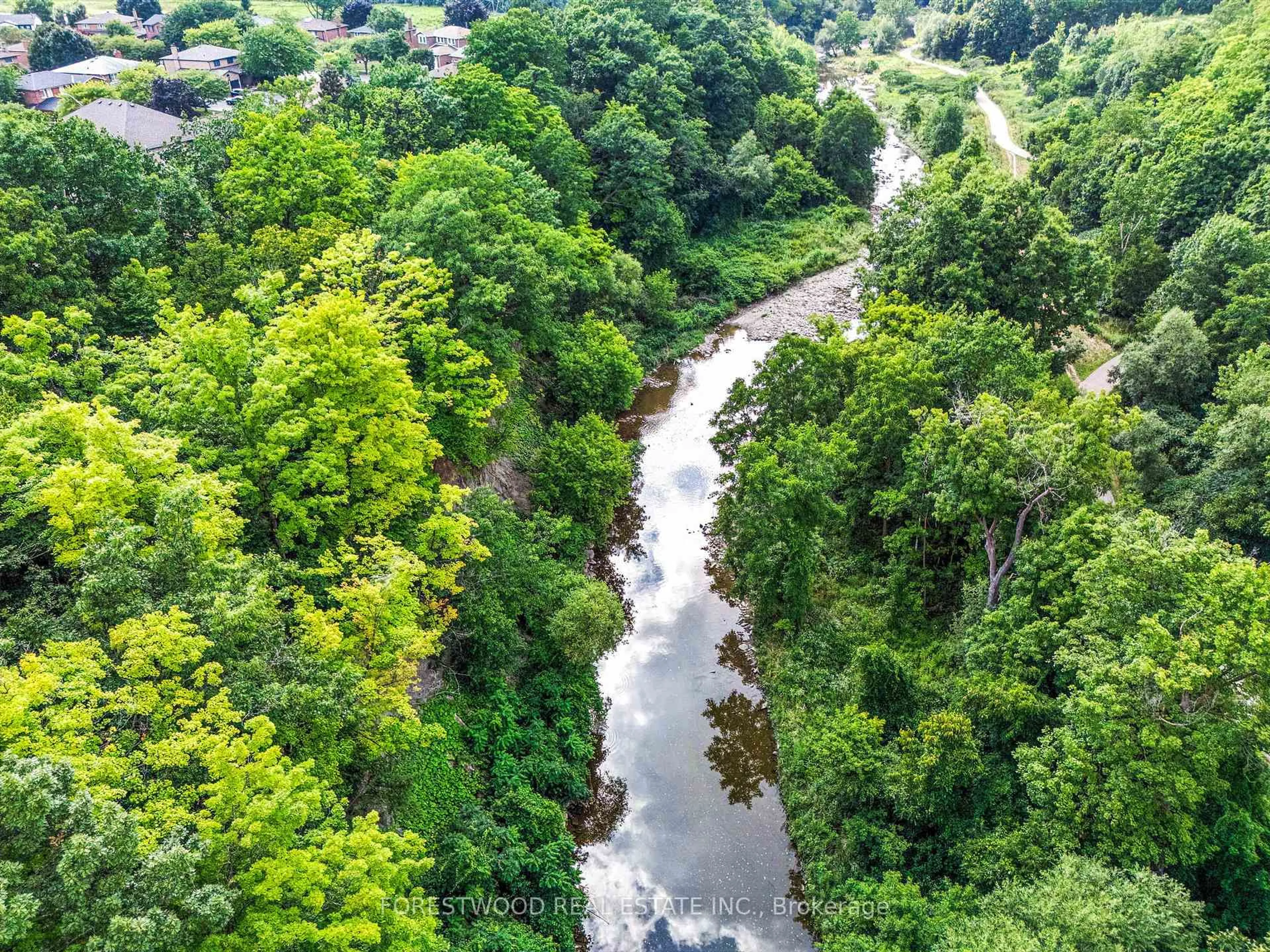 A pic from outside/outdoor area/front of a property/back of a property/a pic from drone, forest/trees view for 1998 Beechknoll Crt, Mississauga Ontario L4W 3Y7