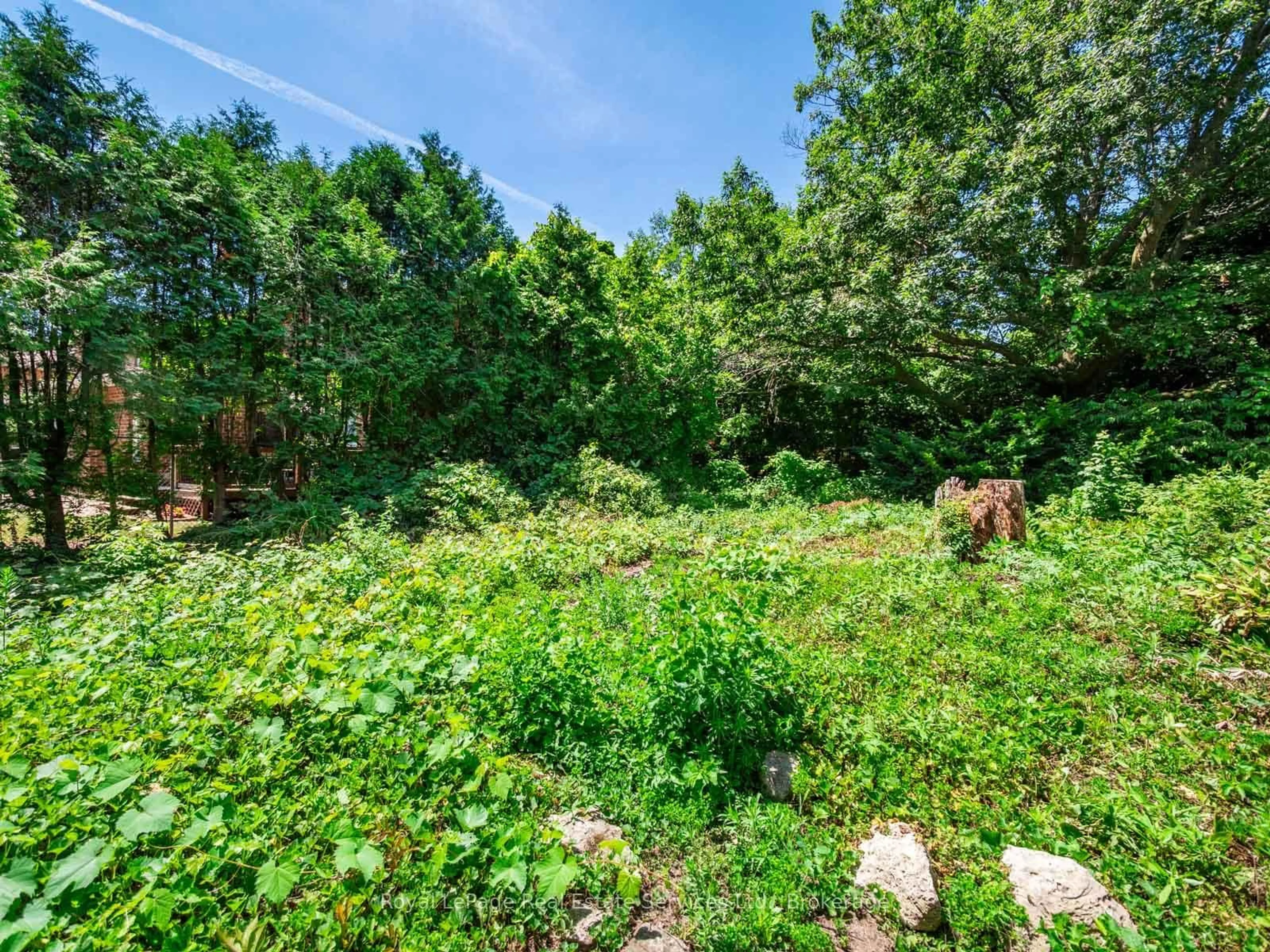 A pic from outside/outdoor area/front of a property/back of a property/a pic from drone, forest/trees view for 0 Victoria St, Oakville Ontario L6L 5X8