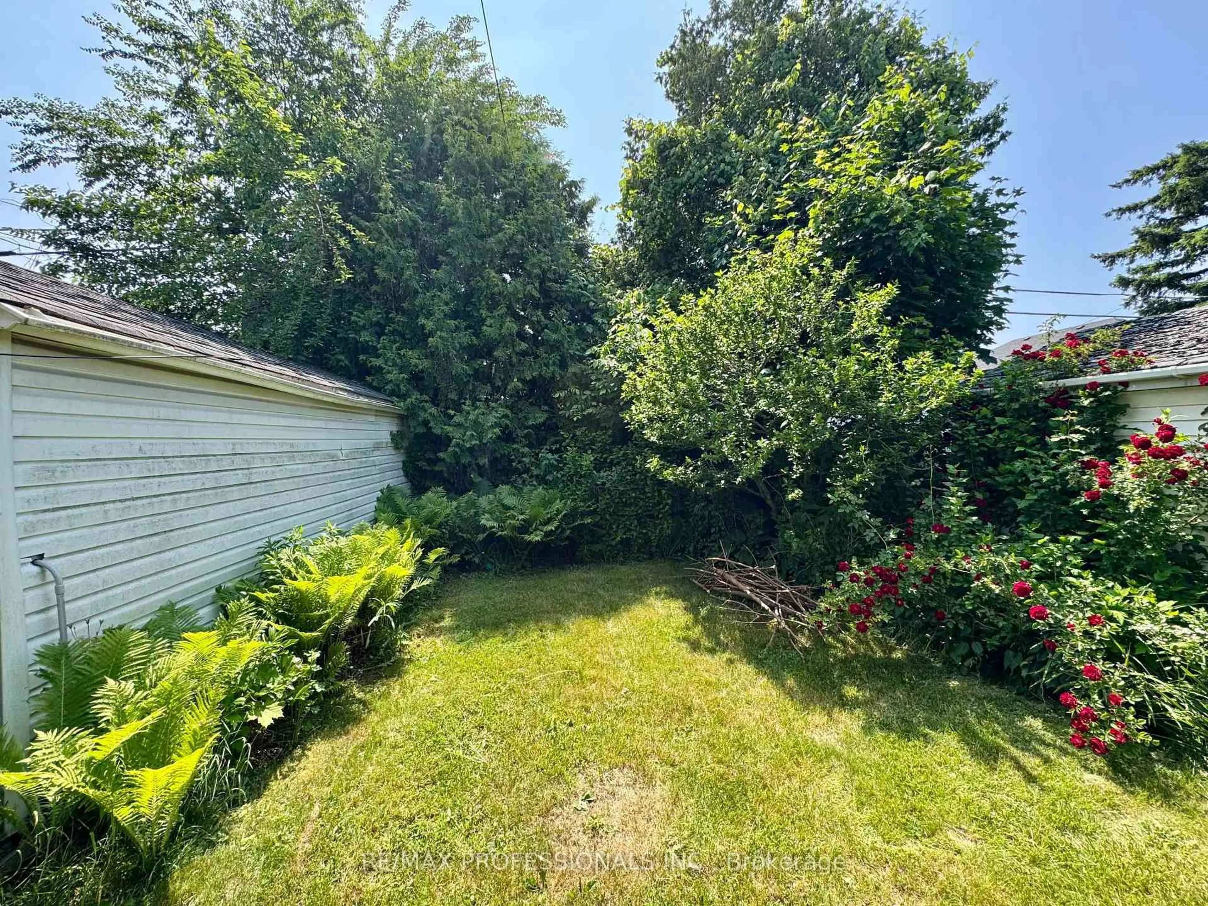 A pic from outside/outdoor area/front of a property/back of a property/a pic from drone, forest/trees view for 44 Parker Ave, Toronto Ontario M8Z 4L8