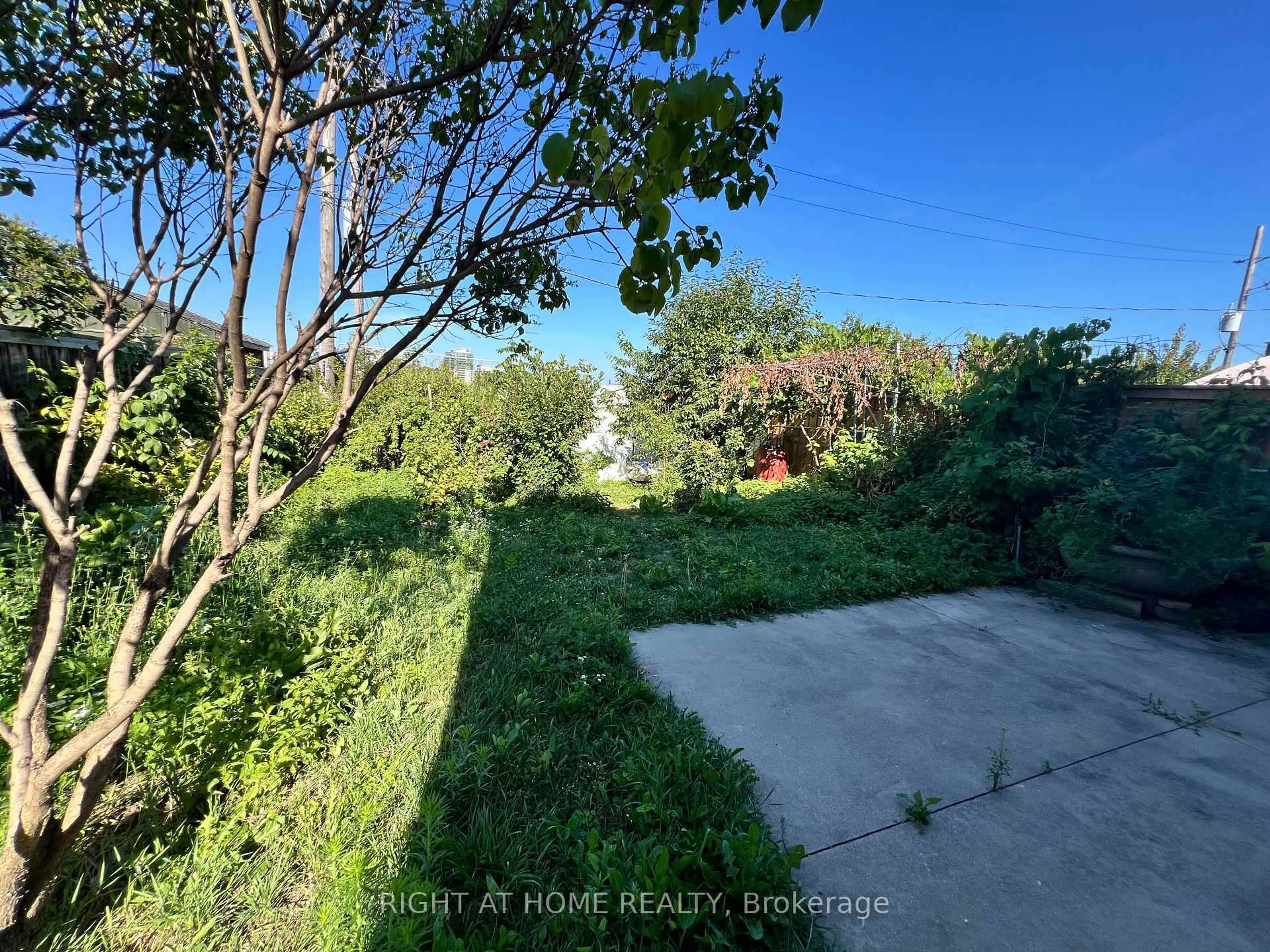 A pic from outside/outdoor area/front of a property/back of a property/a pic from drone, forest/trees view for 21 Featherwood Pl, Toronto Ontario M9A 4V7