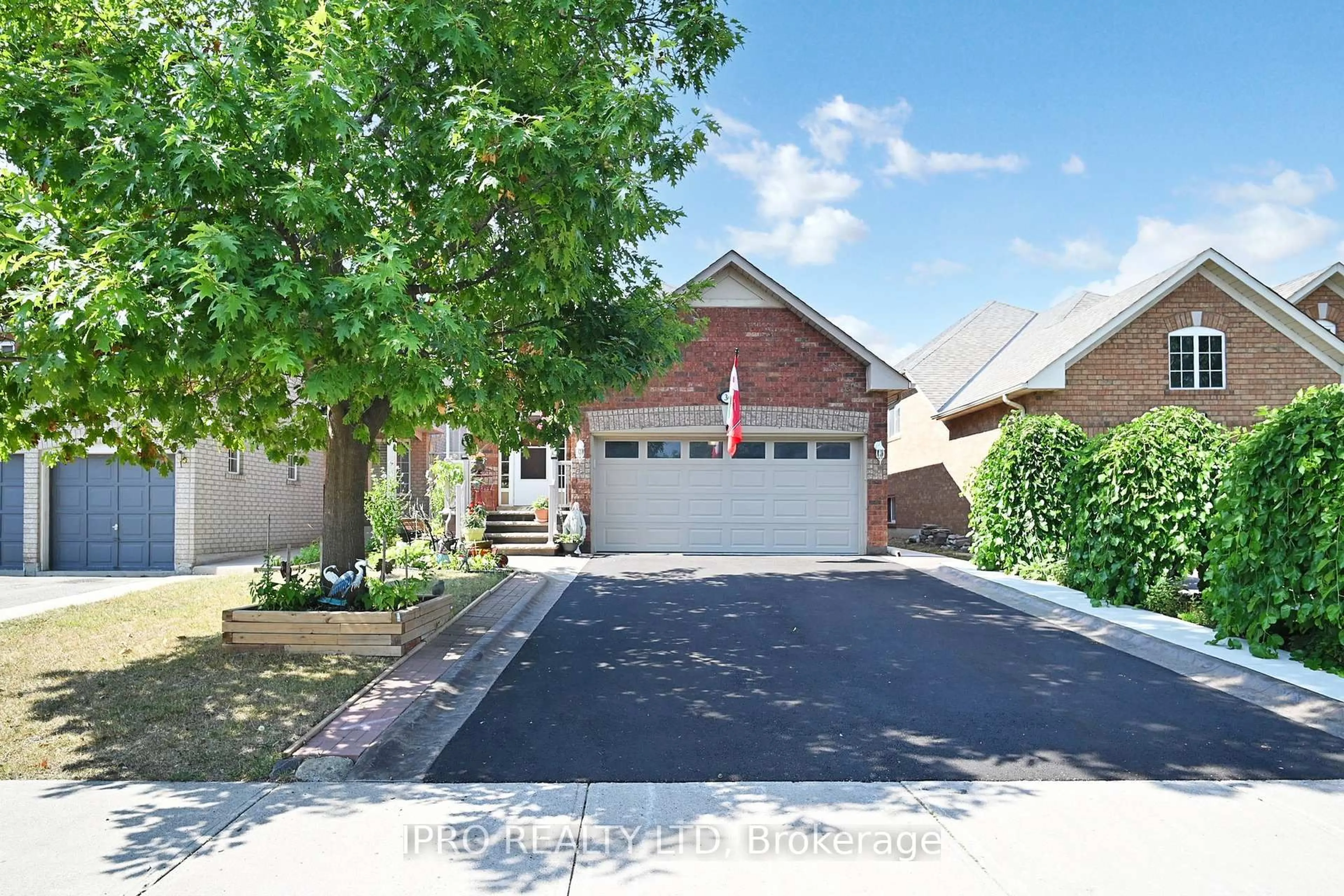 Unknown for 36 Baybrook Rd, Brampton Ontario L7A 1M1